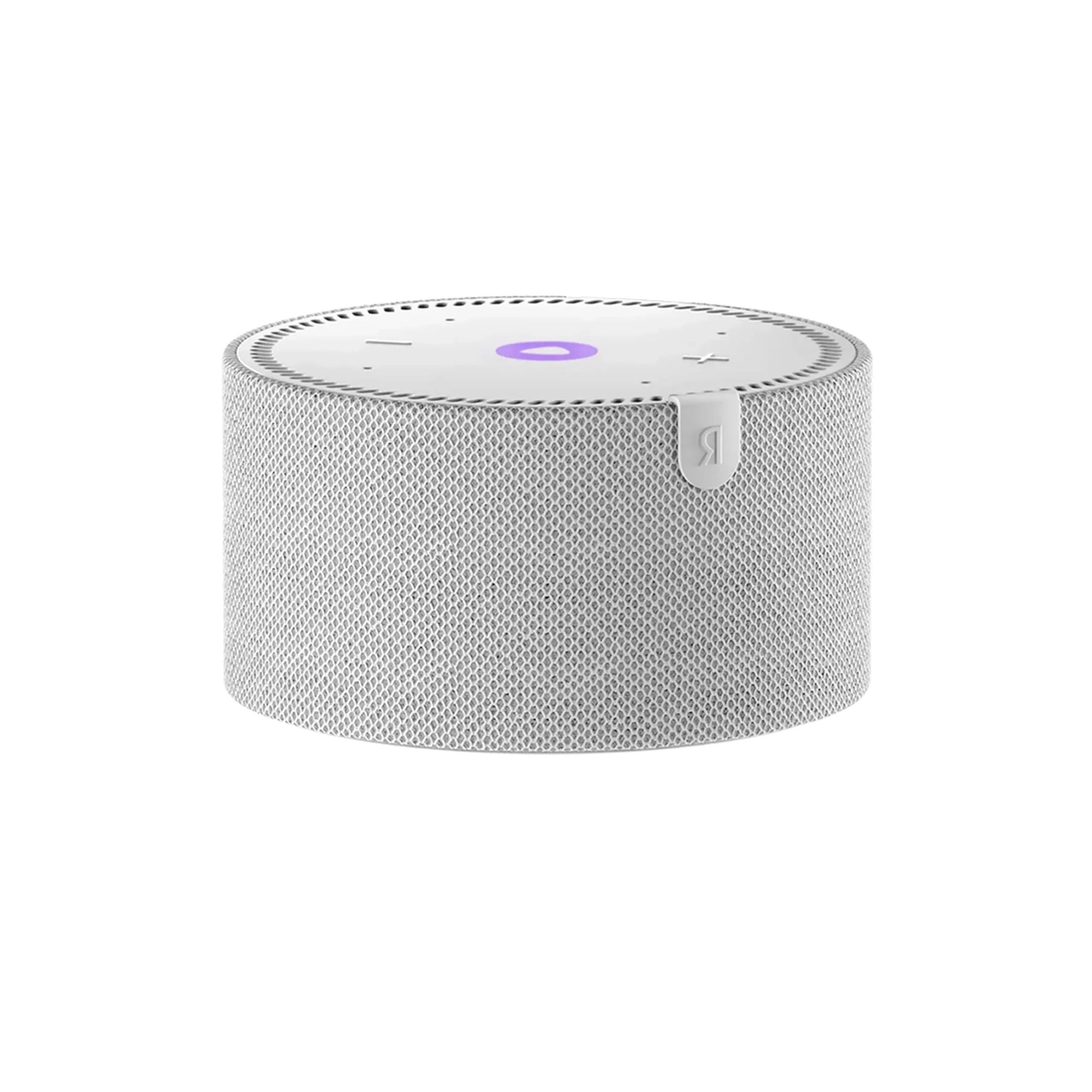 Securitate & Smart Home