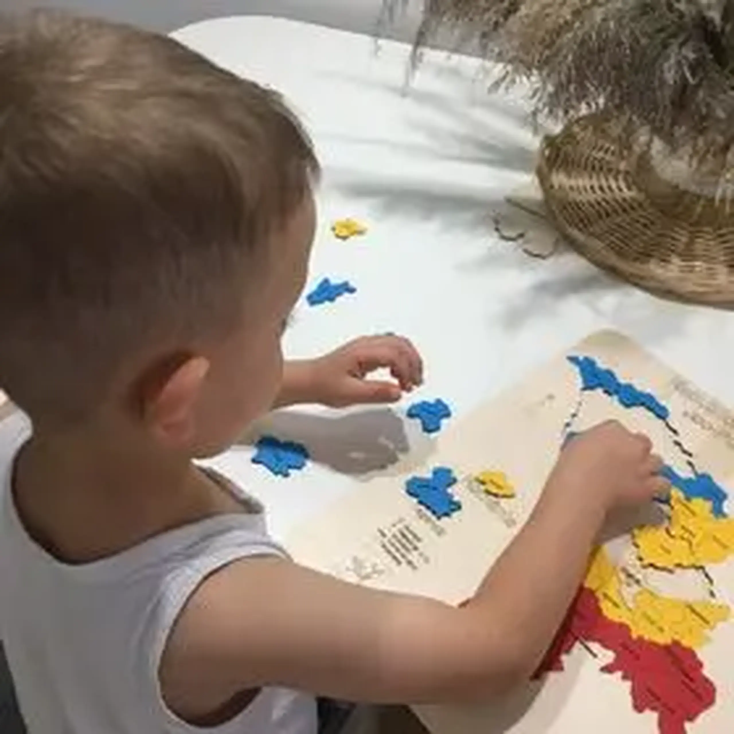 Puzzle Harta R. Moldova cu umbre