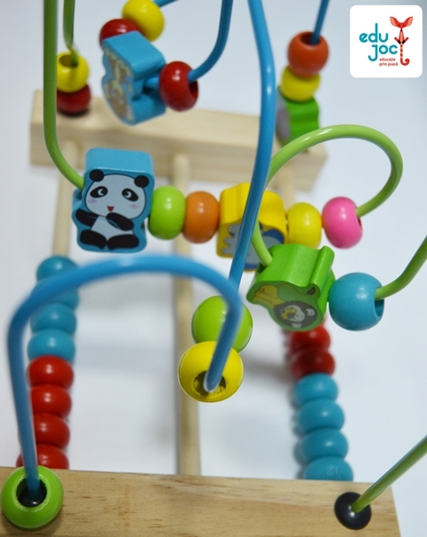Labirint motric insecte