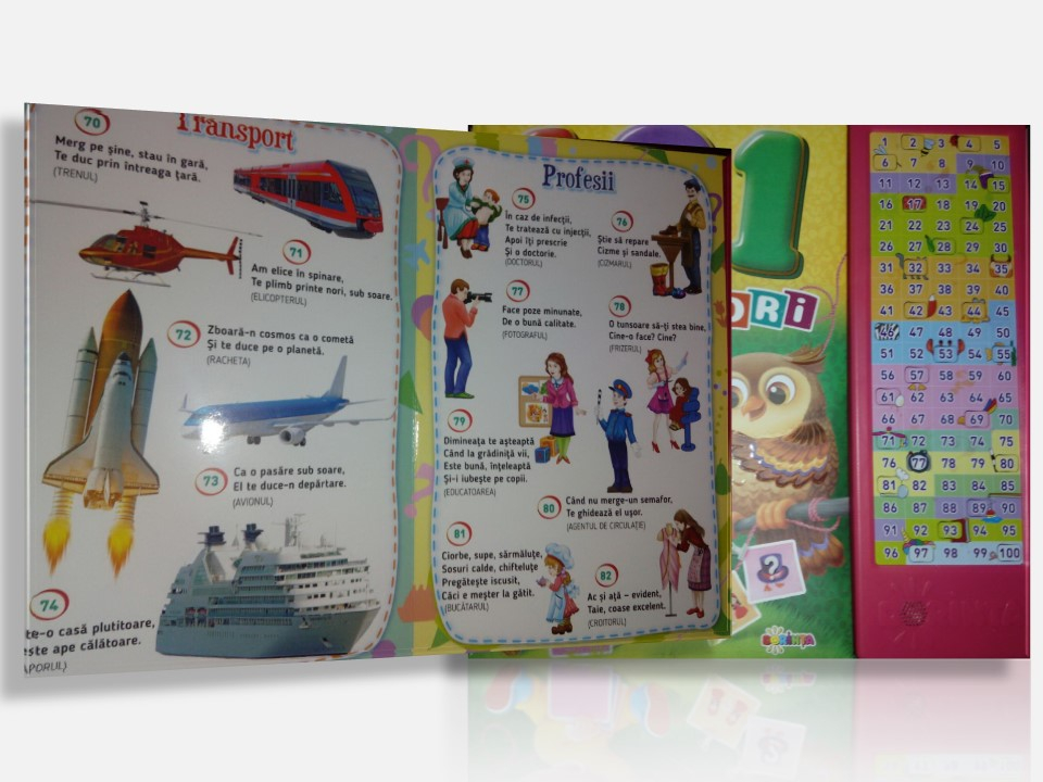 Carte cu sunete - 101 Ghicitori