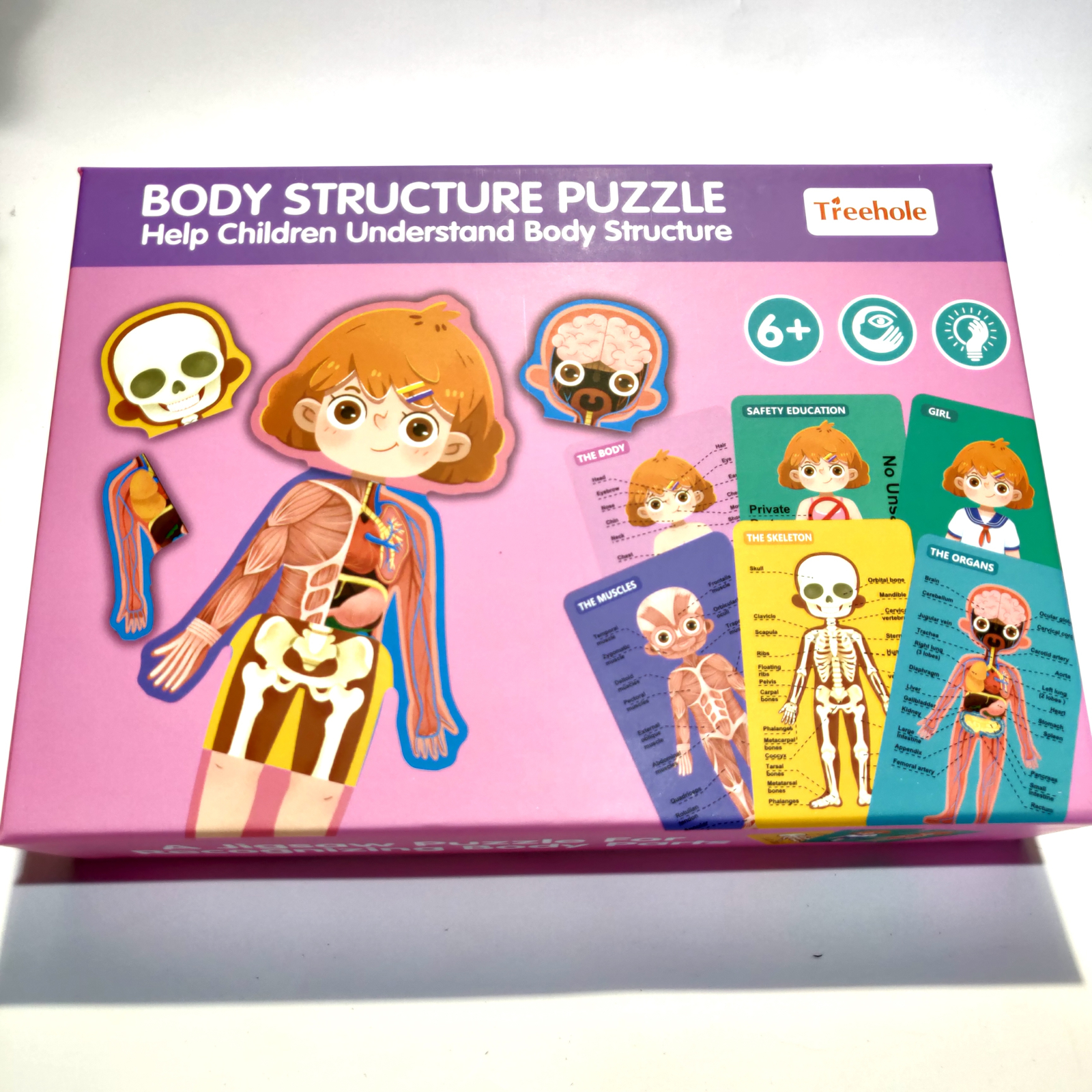 Puzzle corpul uman Fată/baiat in engleza