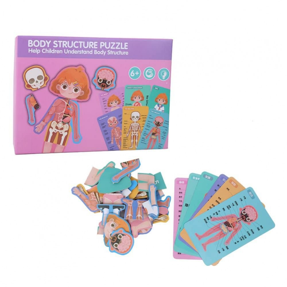 Puzzle corpul uman Fată/baiat in engleza