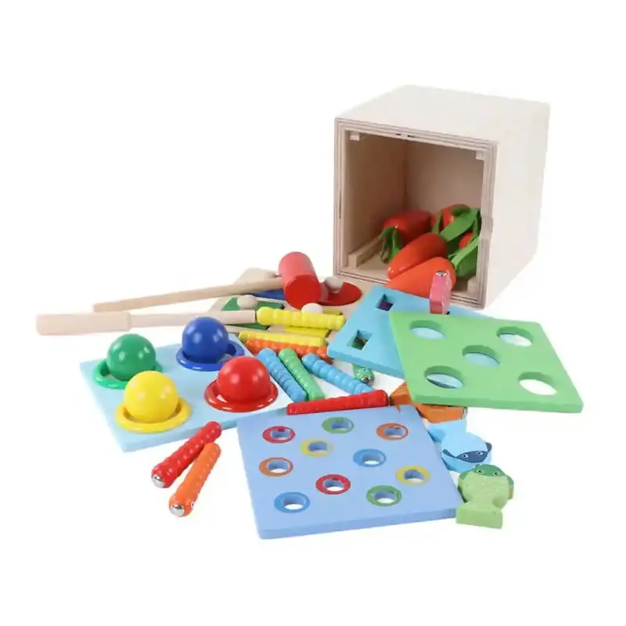 Cub educativ 5 în 1