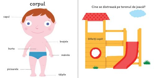 Descoperă Corpul
