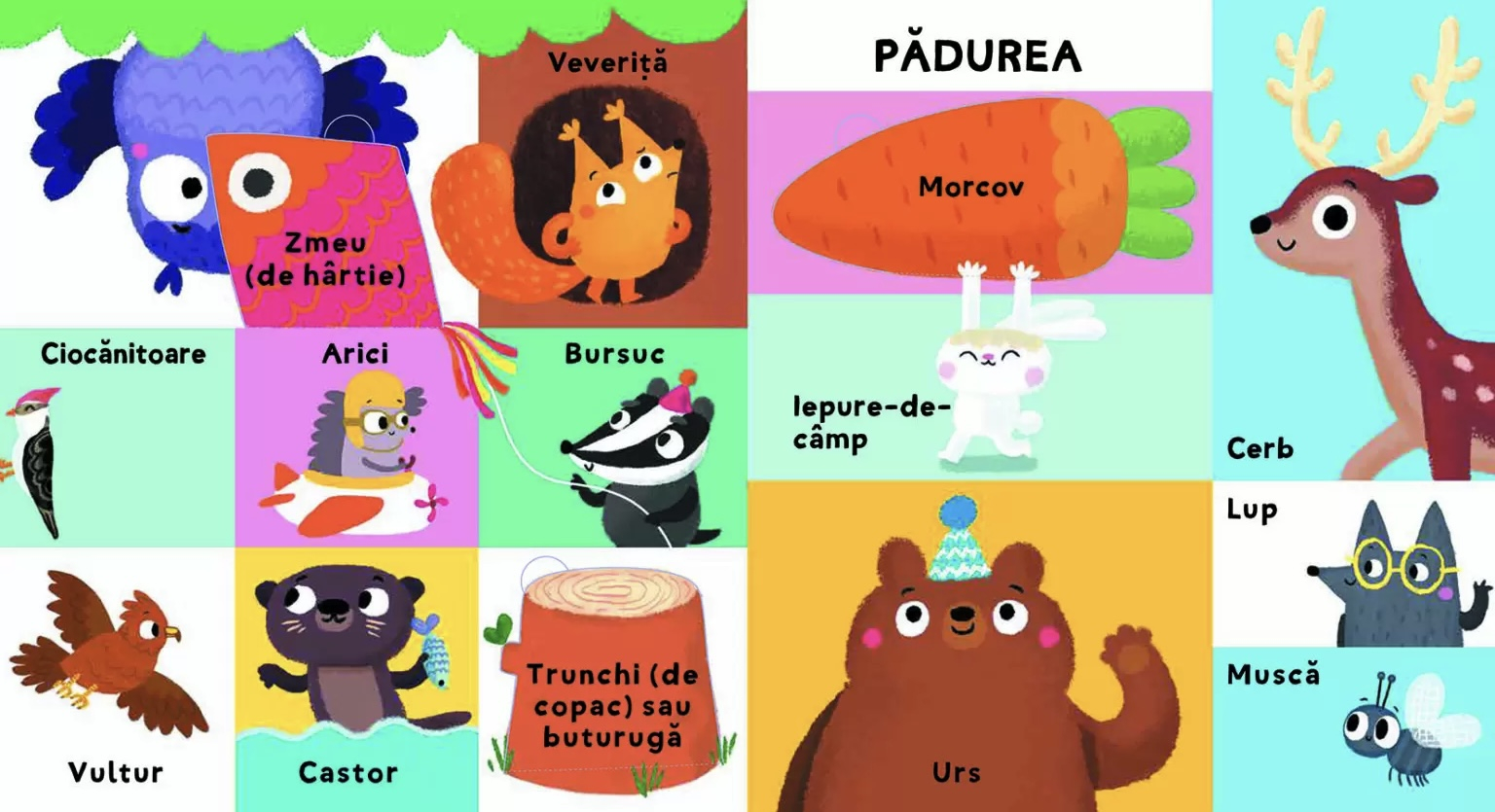 Primele mele 100 de cuvinte. Animalele. Cu Clapete Mari
