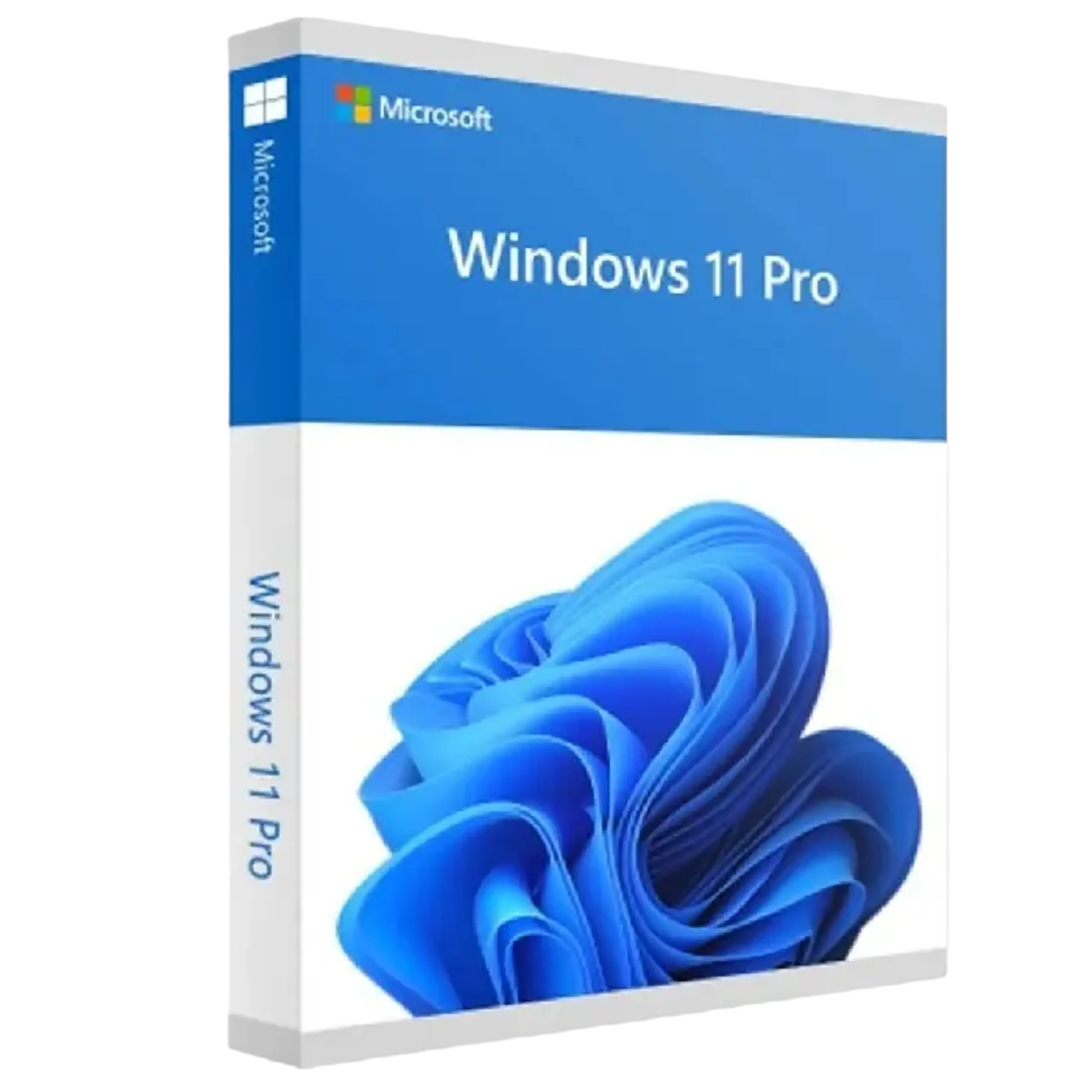 Sistem de operare Windows PRO FPP 11 64BIT ENG INTL NON-E