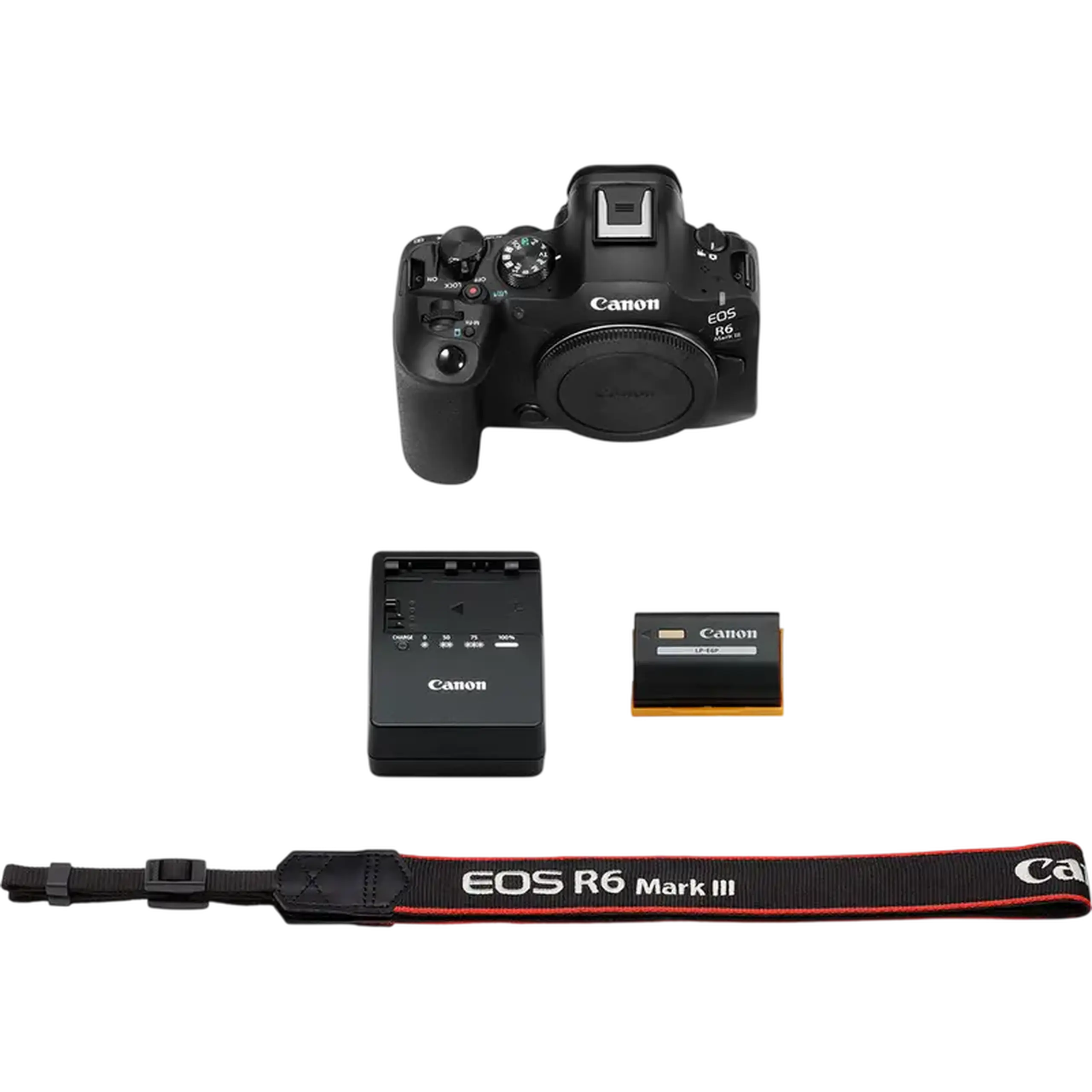Aparat Foto Mirrorless Canon EOS R6 MARK III V5GHz