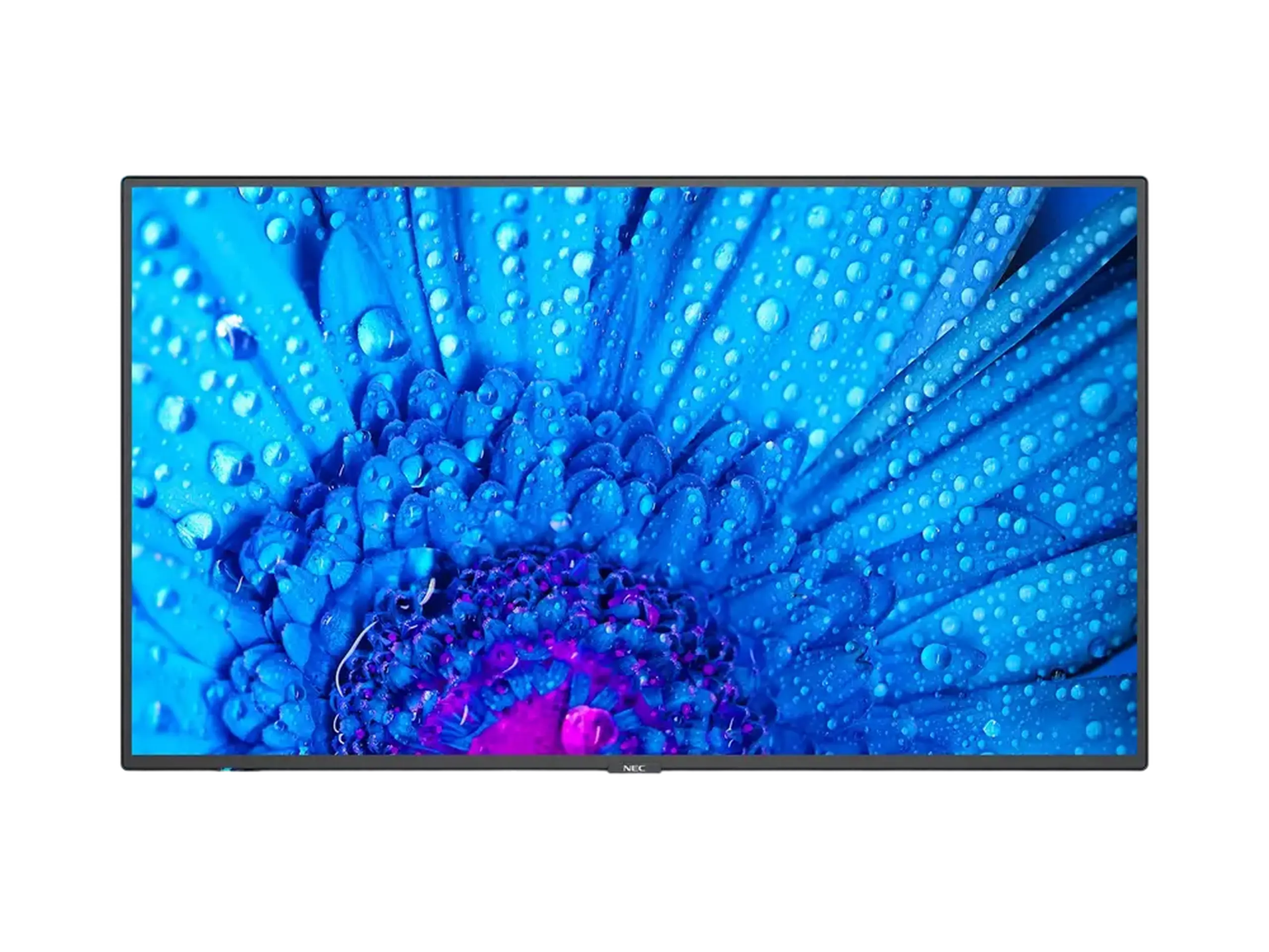 Display NEC MultiSync M651, 65", Negru