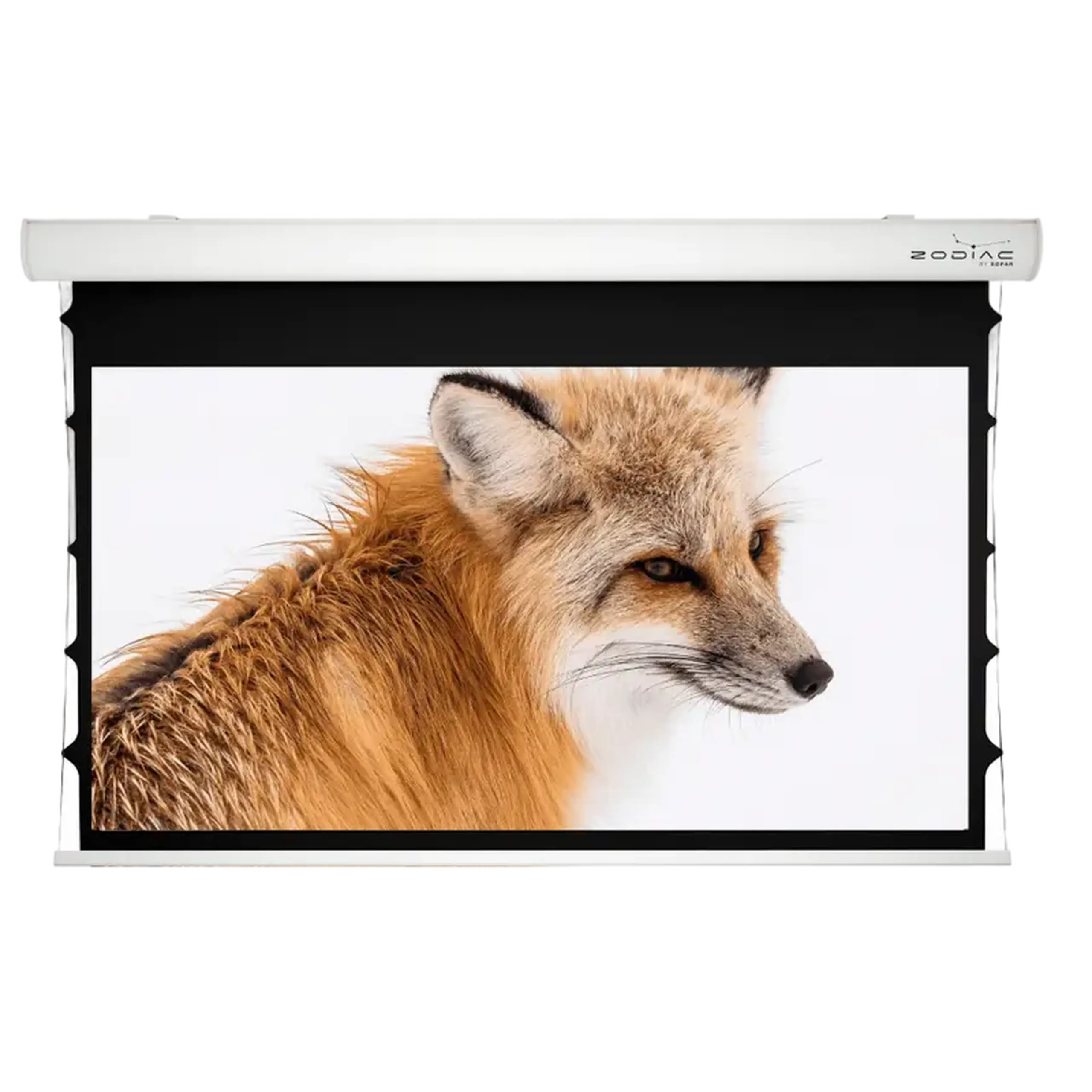 Ecran electric Sopar Taurus 5275ZT, 125", 16:10