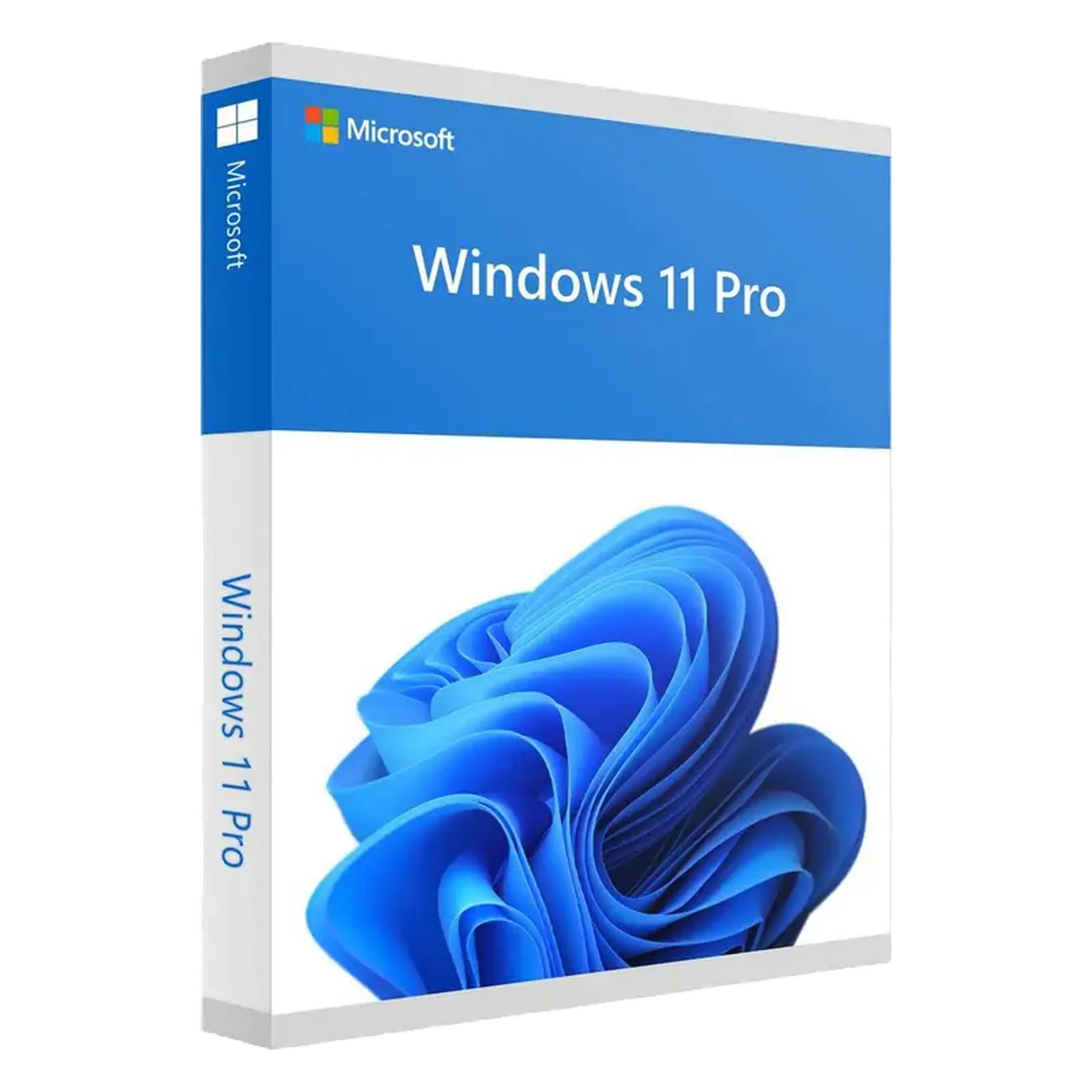Sistem de operare Windows HOME FPP 11 64BIT ENG INTL