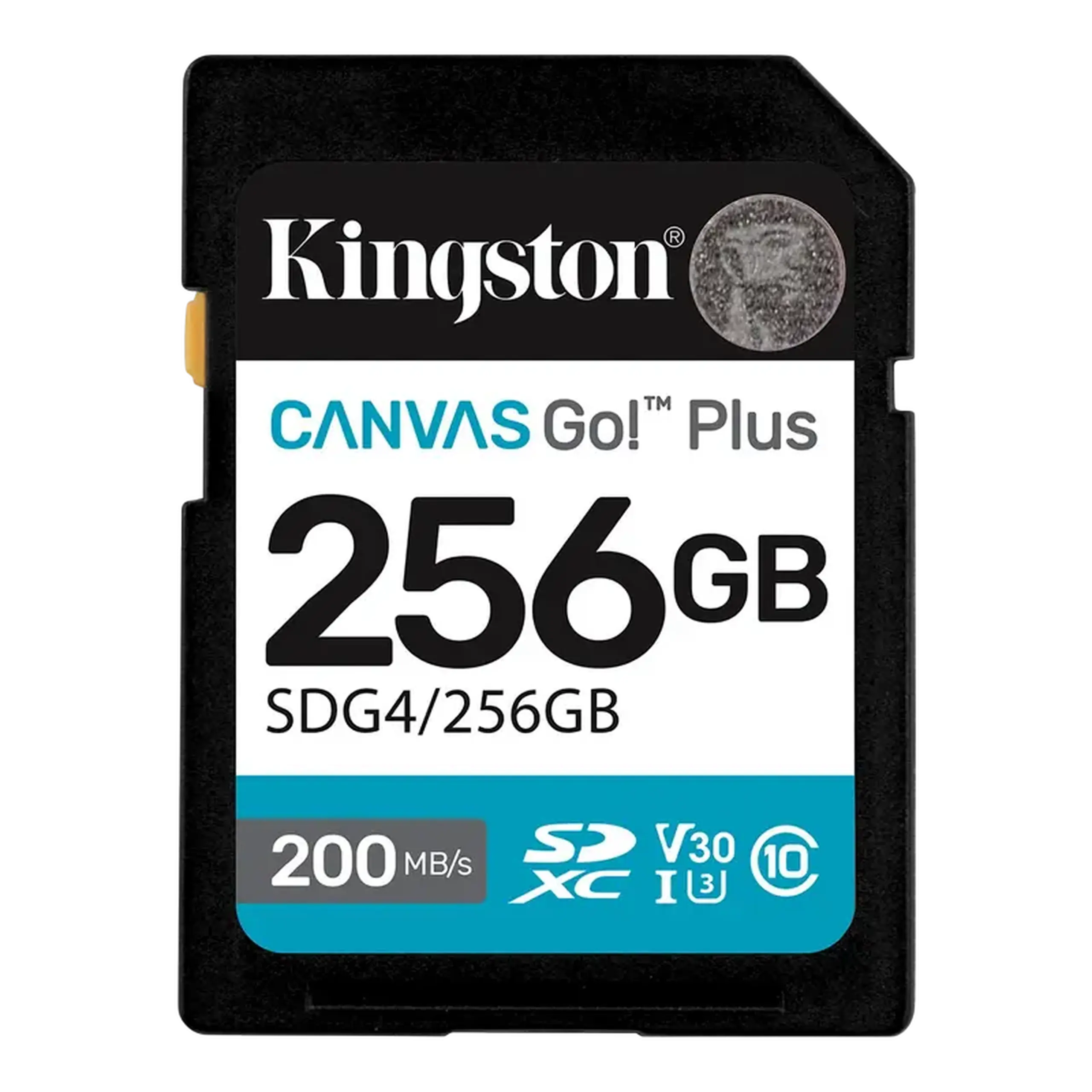 Card de Memorie Kingston Canvas Go! Plus, 256GB (SDG4/256GB)