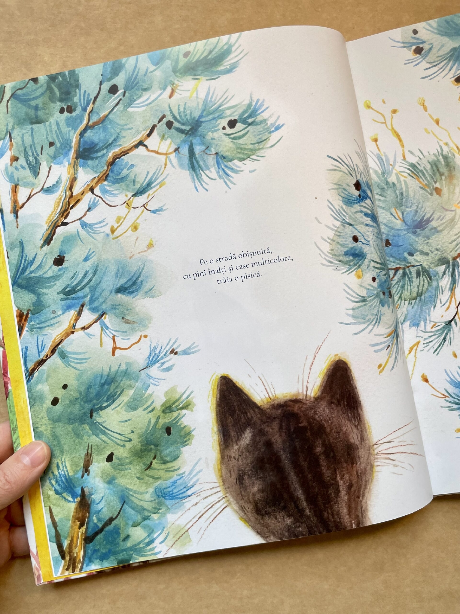 "FLOC" Carte | Book