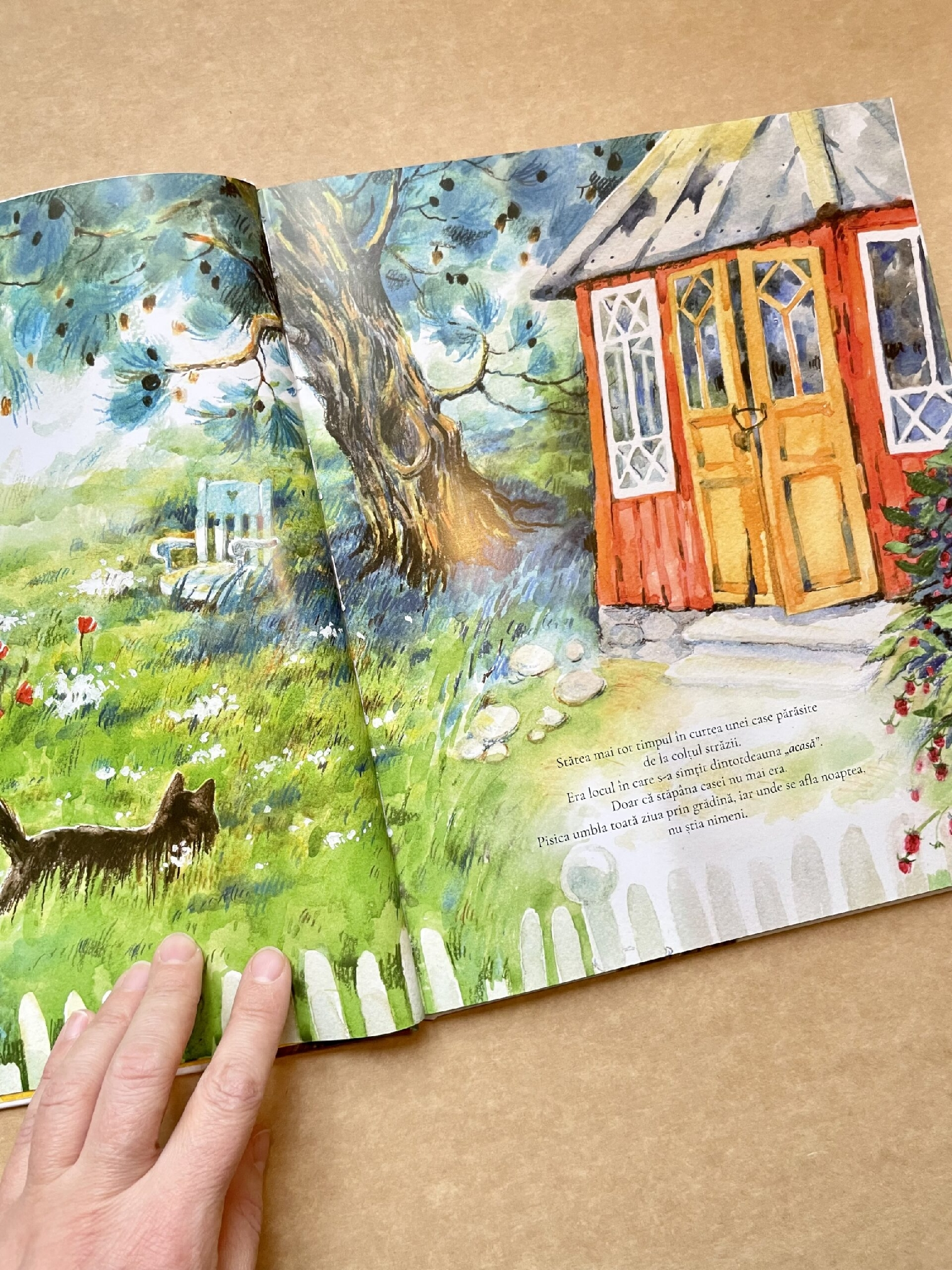 "FLOC" Carte | Book