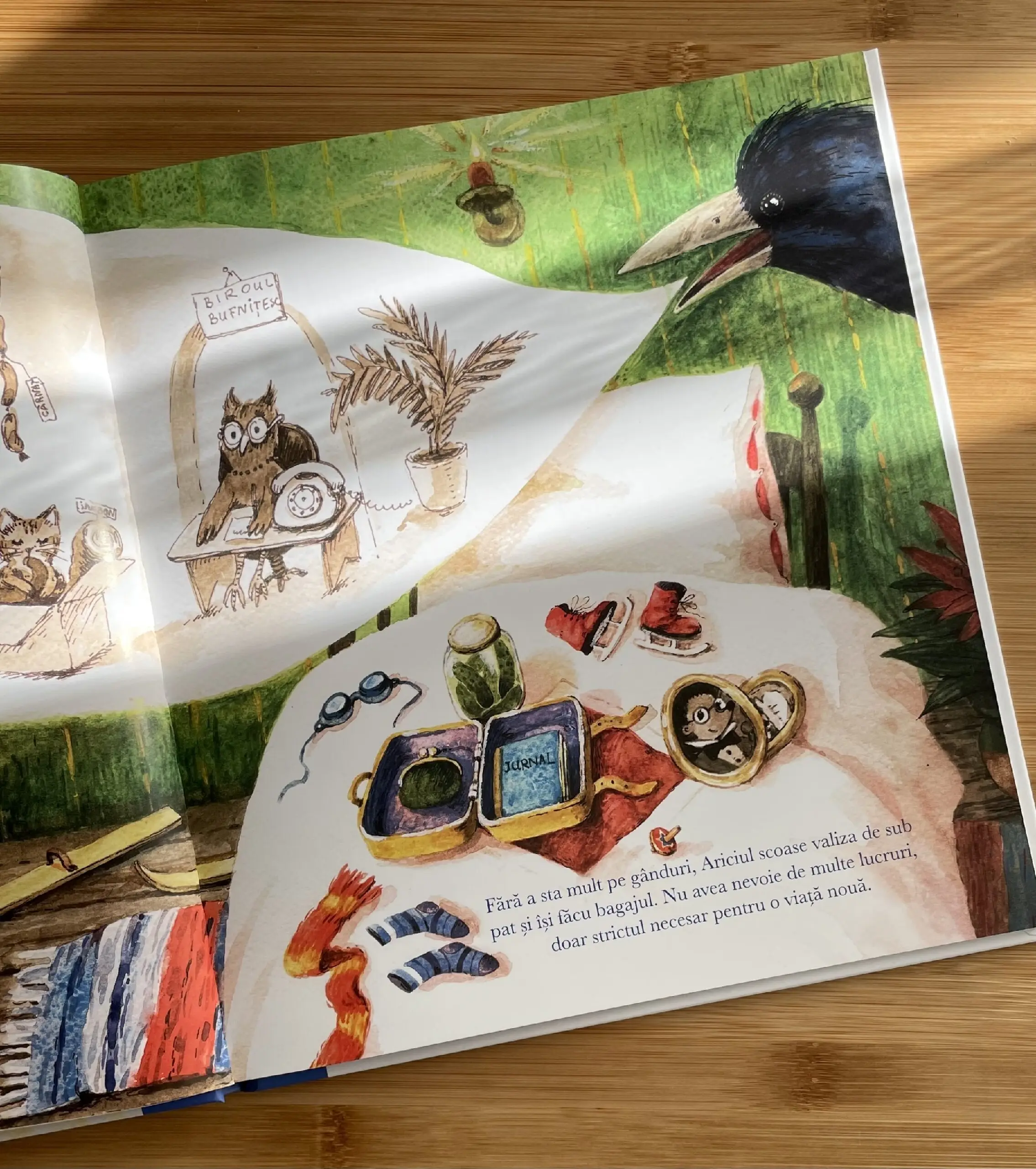 "MINUNEA" Carte | Book