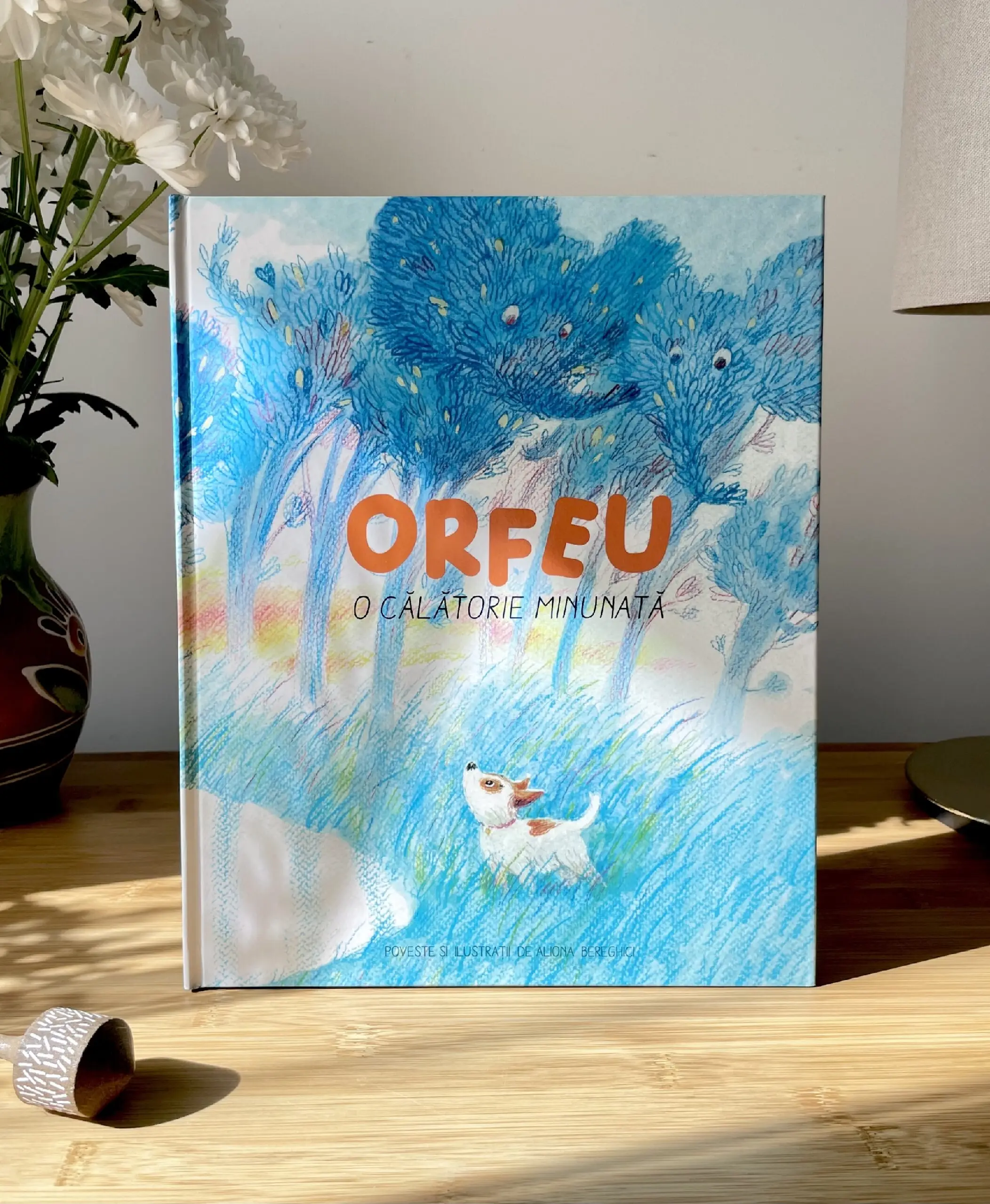 "ORFEU. O călătorie minunată" Carte | Book