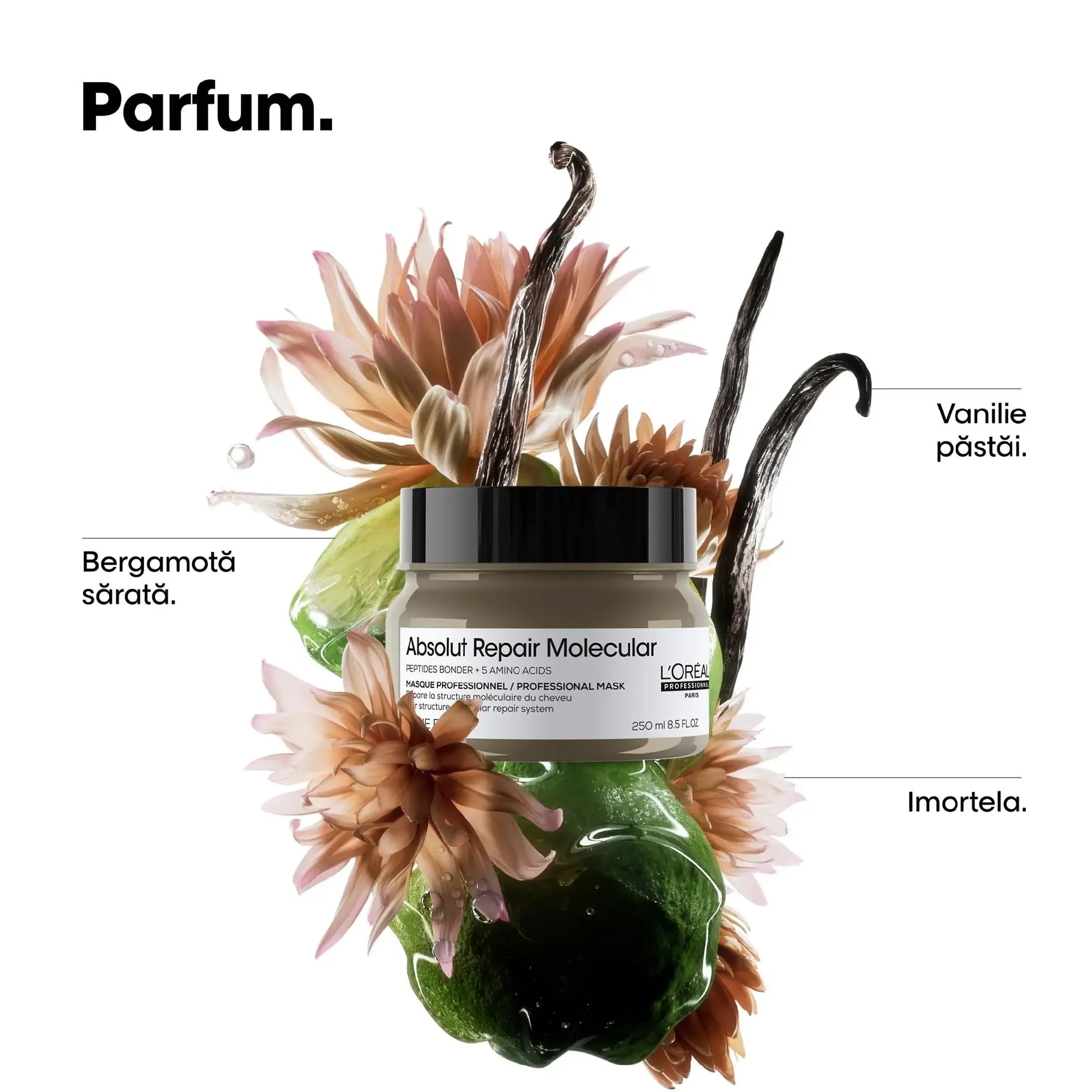 Masca concentrata pentru par deteriorat L’Oreal Professionnel Serie Expert Absolut Repair Molecular, formulata cu legaturi peptidice si 5 aminoacizi, 250 ml