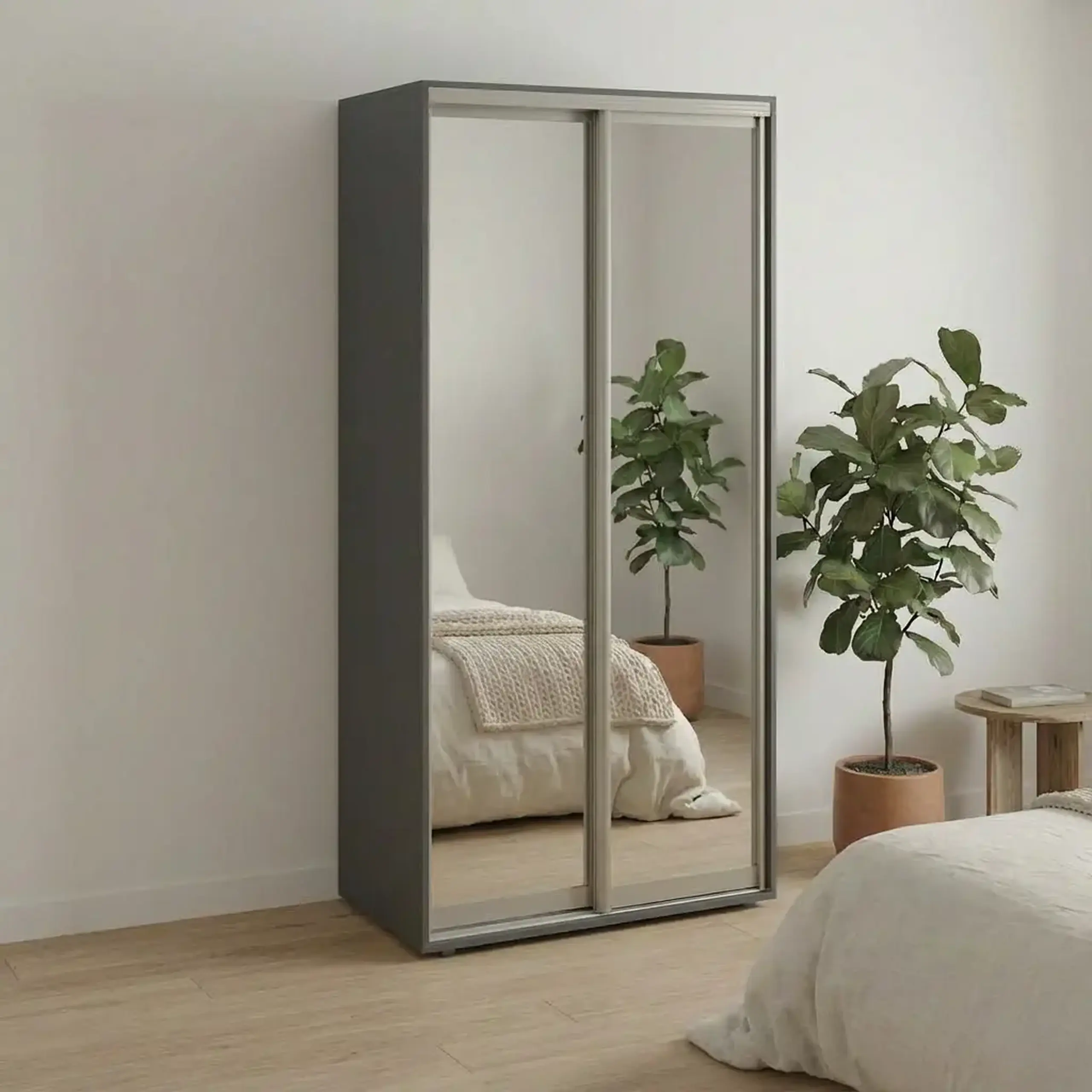 Dulap Cupe Fenix cu 2 usi, 2 Oglinda, Antracit, 120x60x240 cm