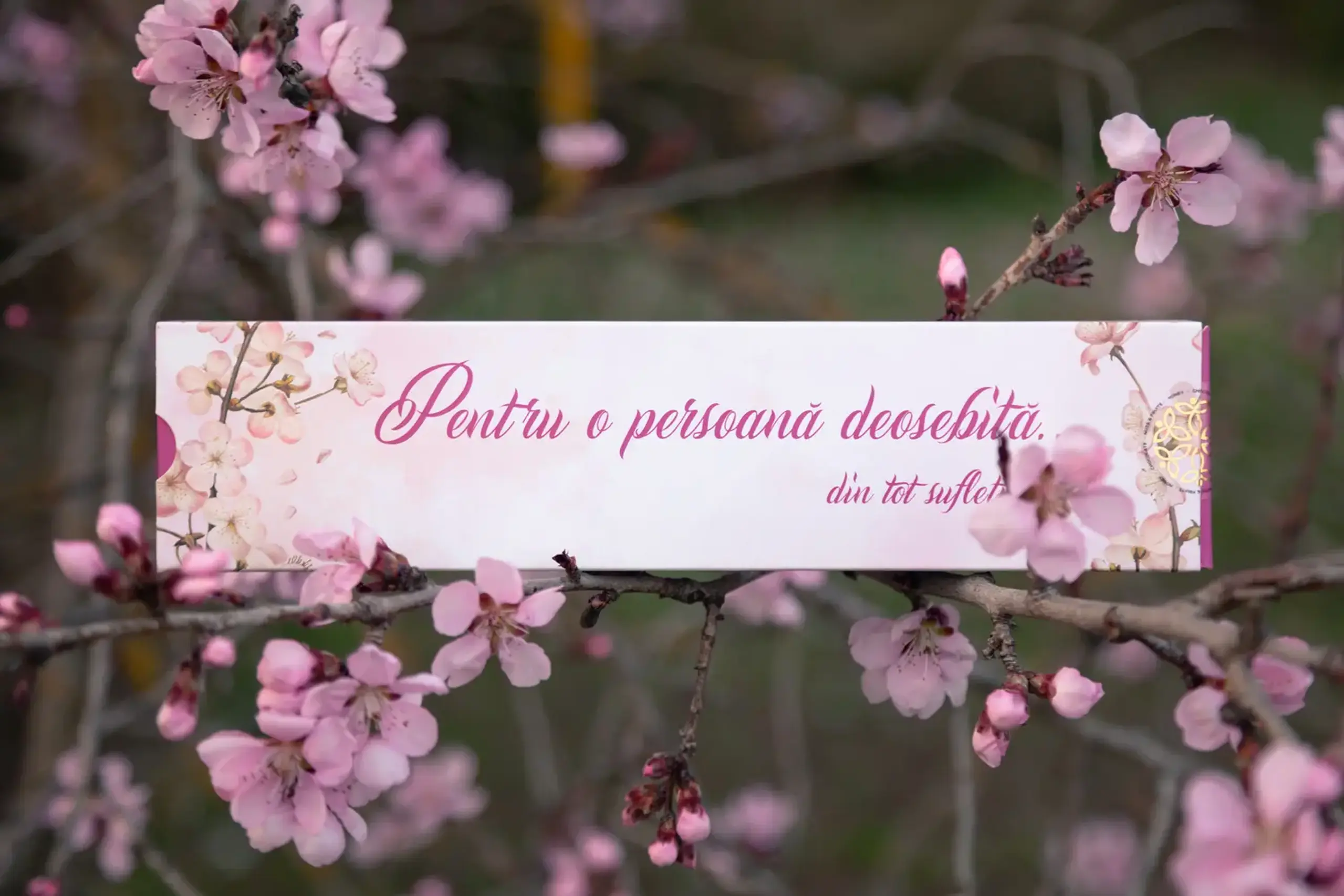 Mediante handmade într-o cutie „Pentru o persoană deosebită”