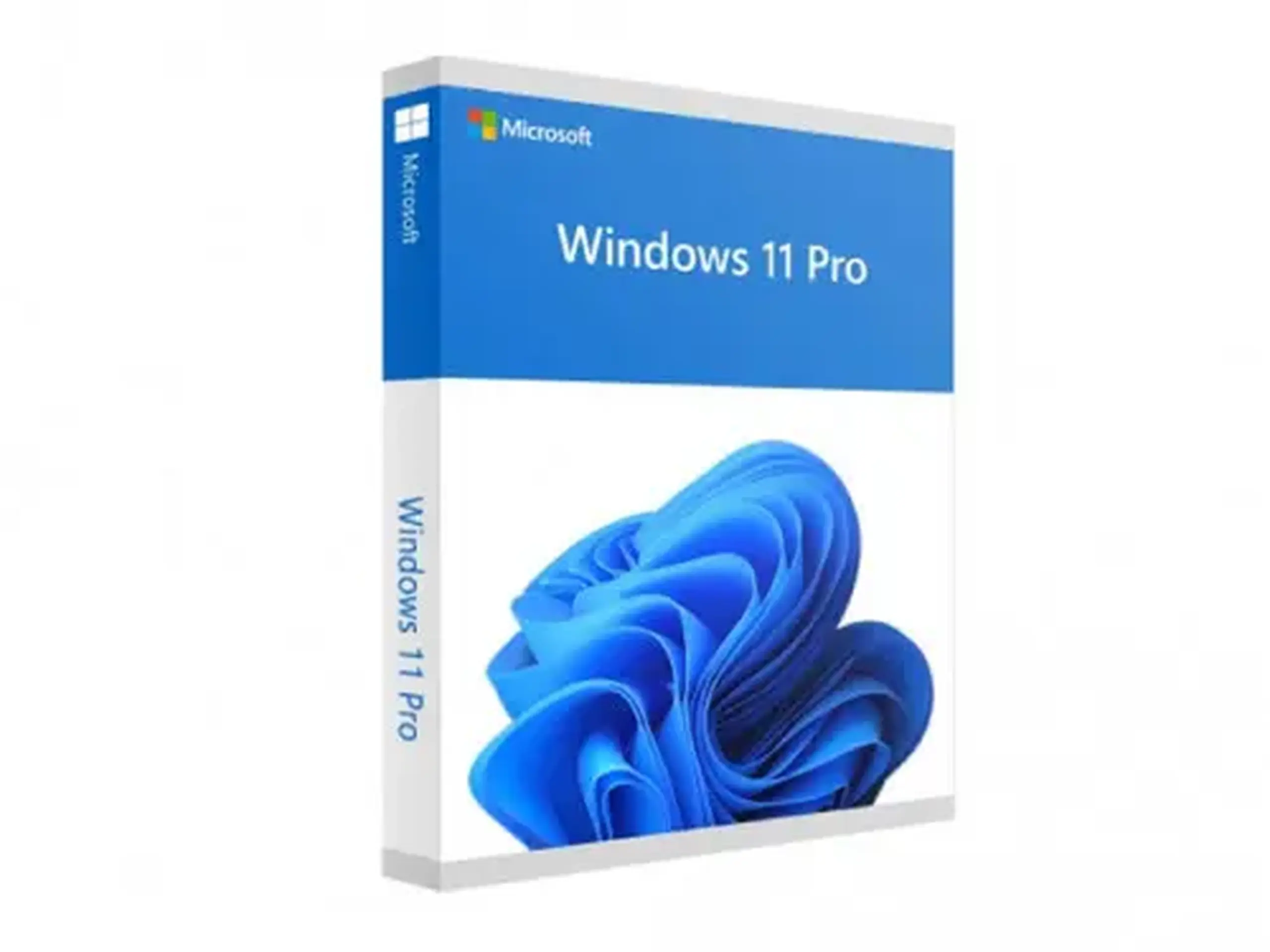 Sistem de operare Windows HOME FPP 11 64BIT ENG INTL