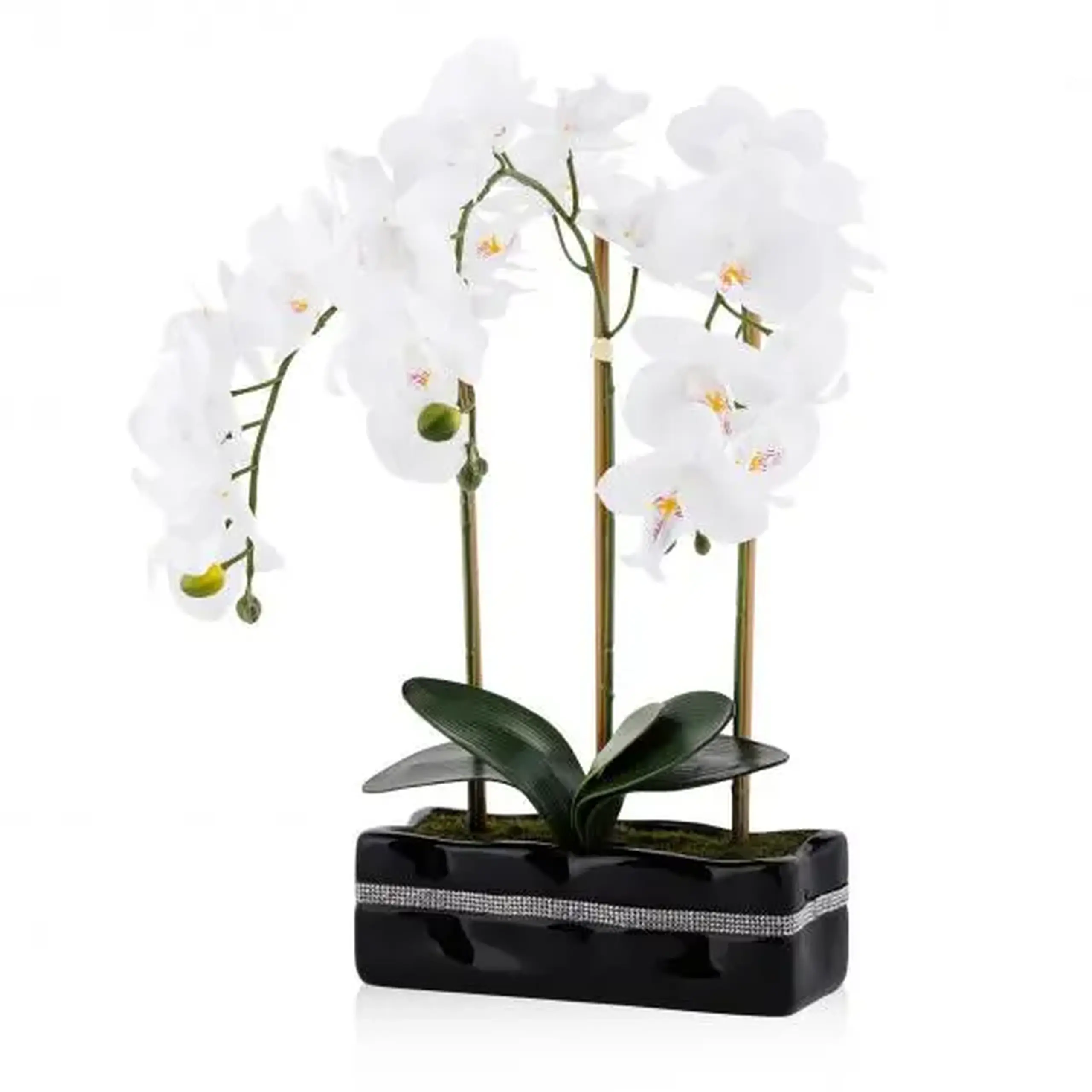 Floare decorativă ORCHIANUM DIAM