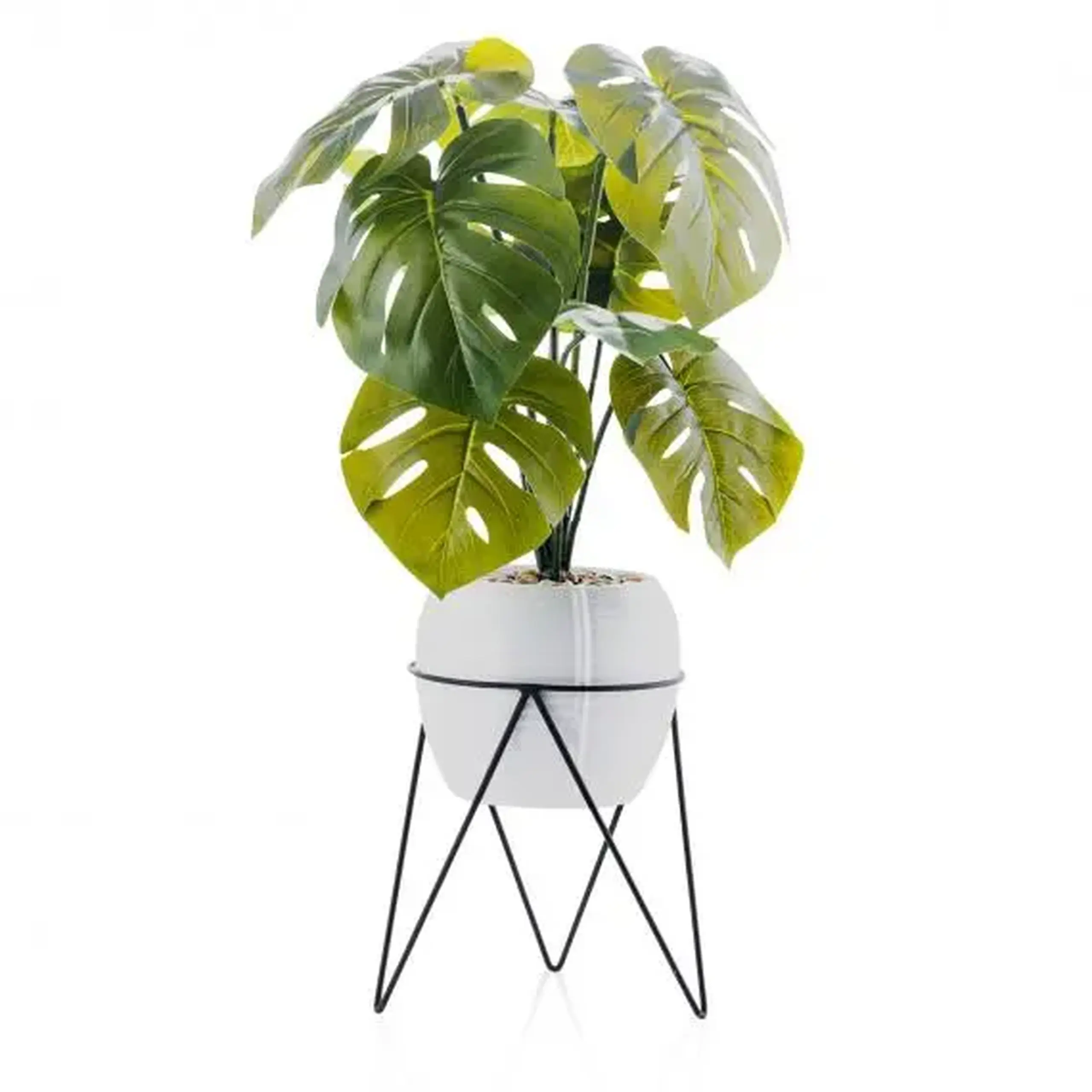 compoziție florală TROPICANUM
