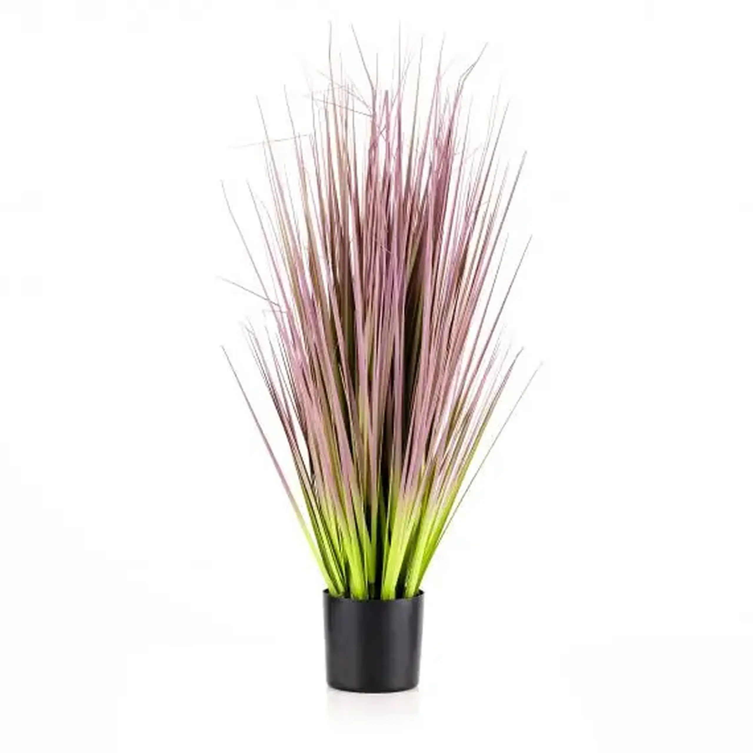 compoziție florală SWEETFLAG
