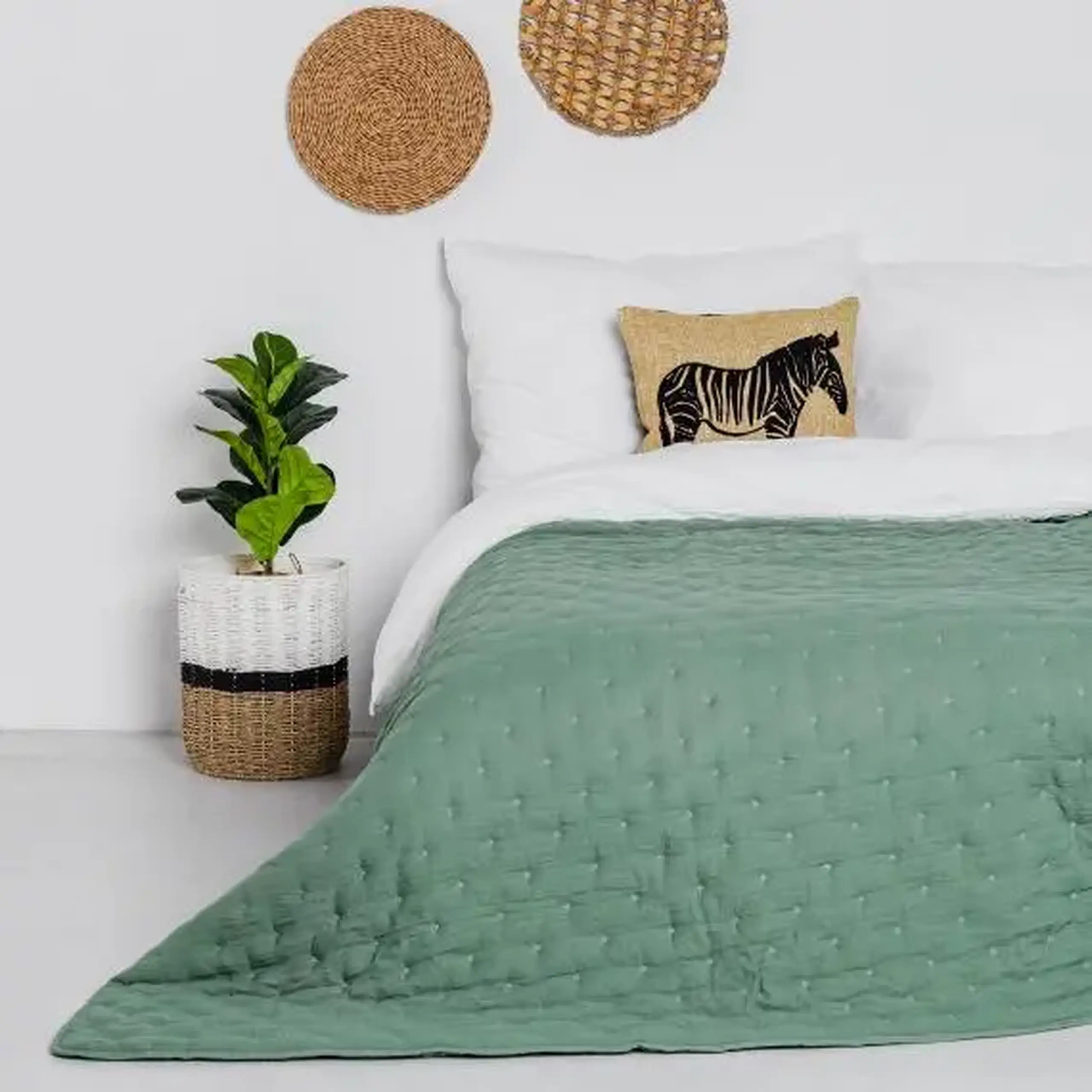 Floare decorativă FICUS