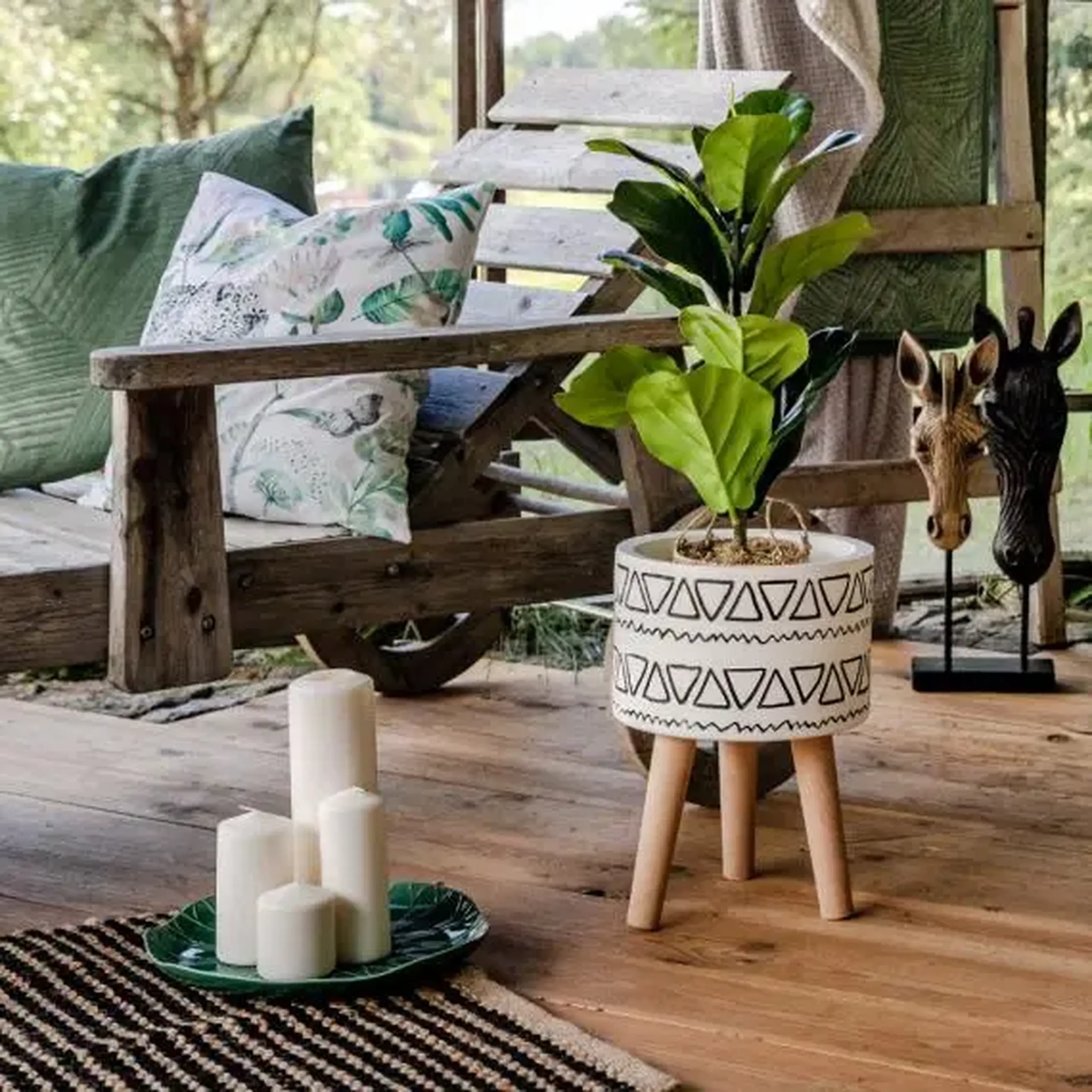 Floare decorativă FICUS
