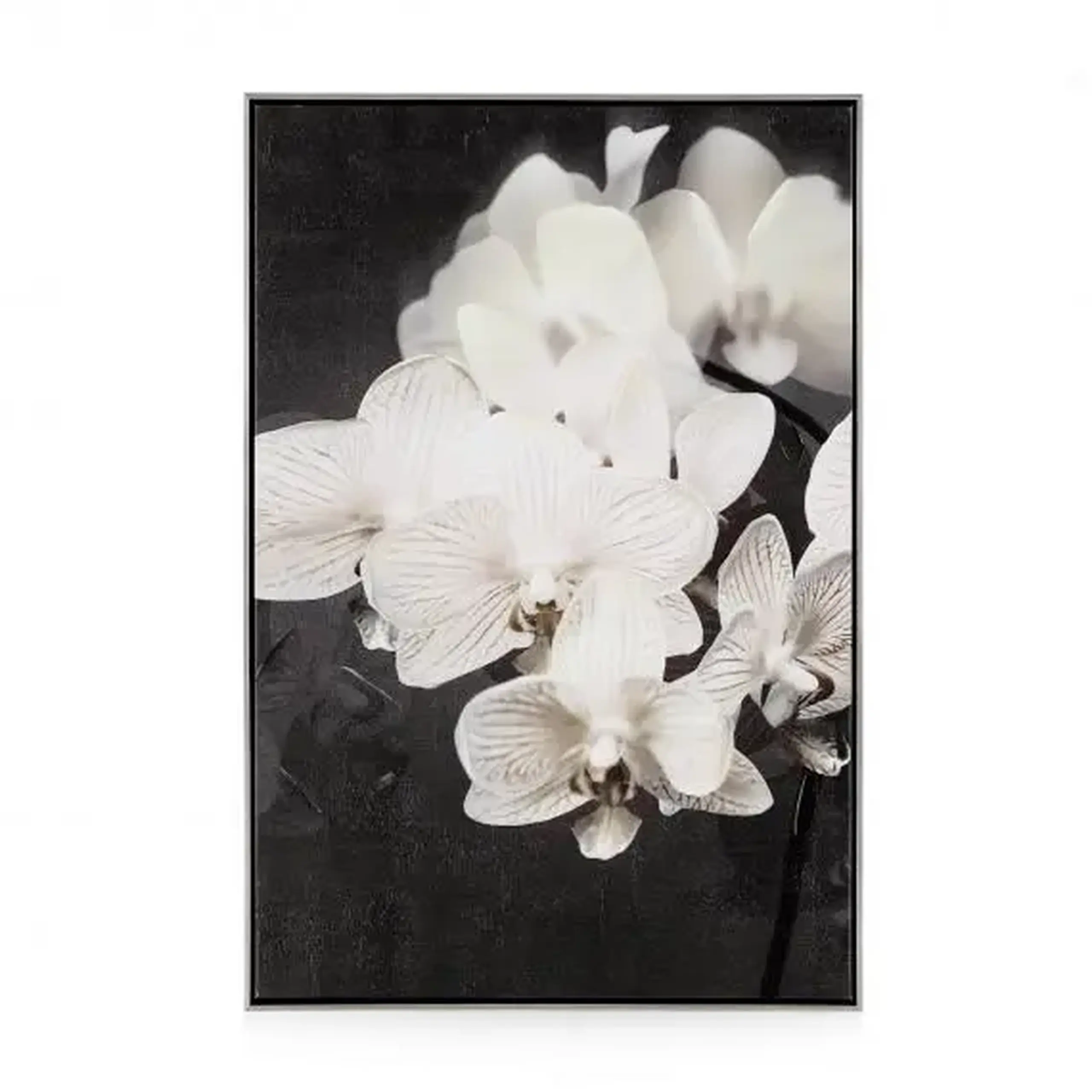 Tablou ORCHIDES