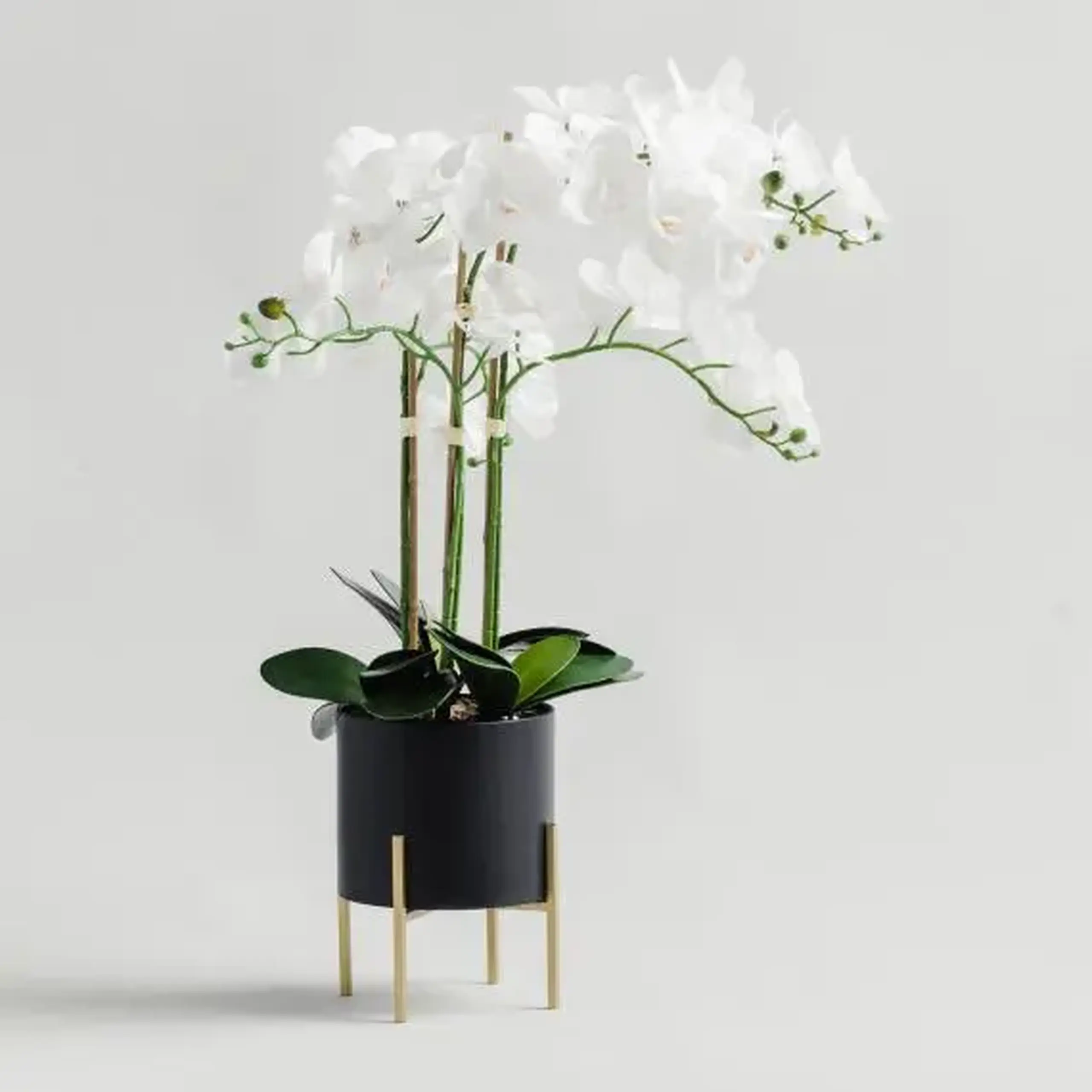compoziție florală ORCHIDANOS