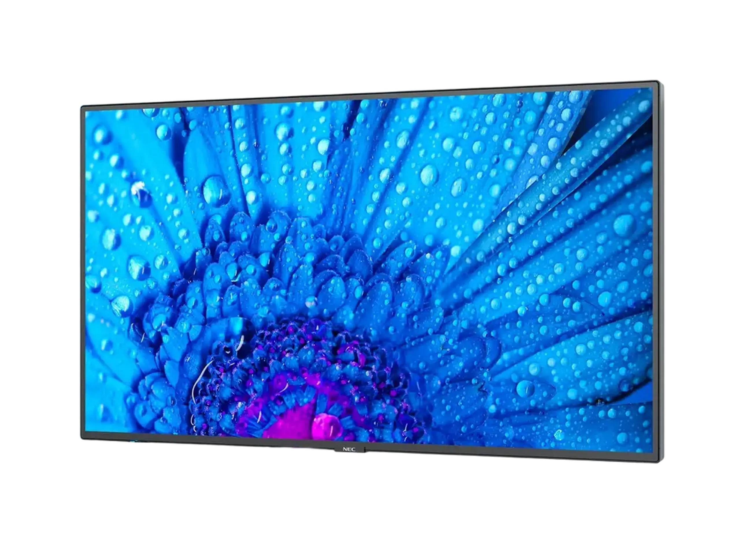 Display NEC MultiSync M651, 65", Negru