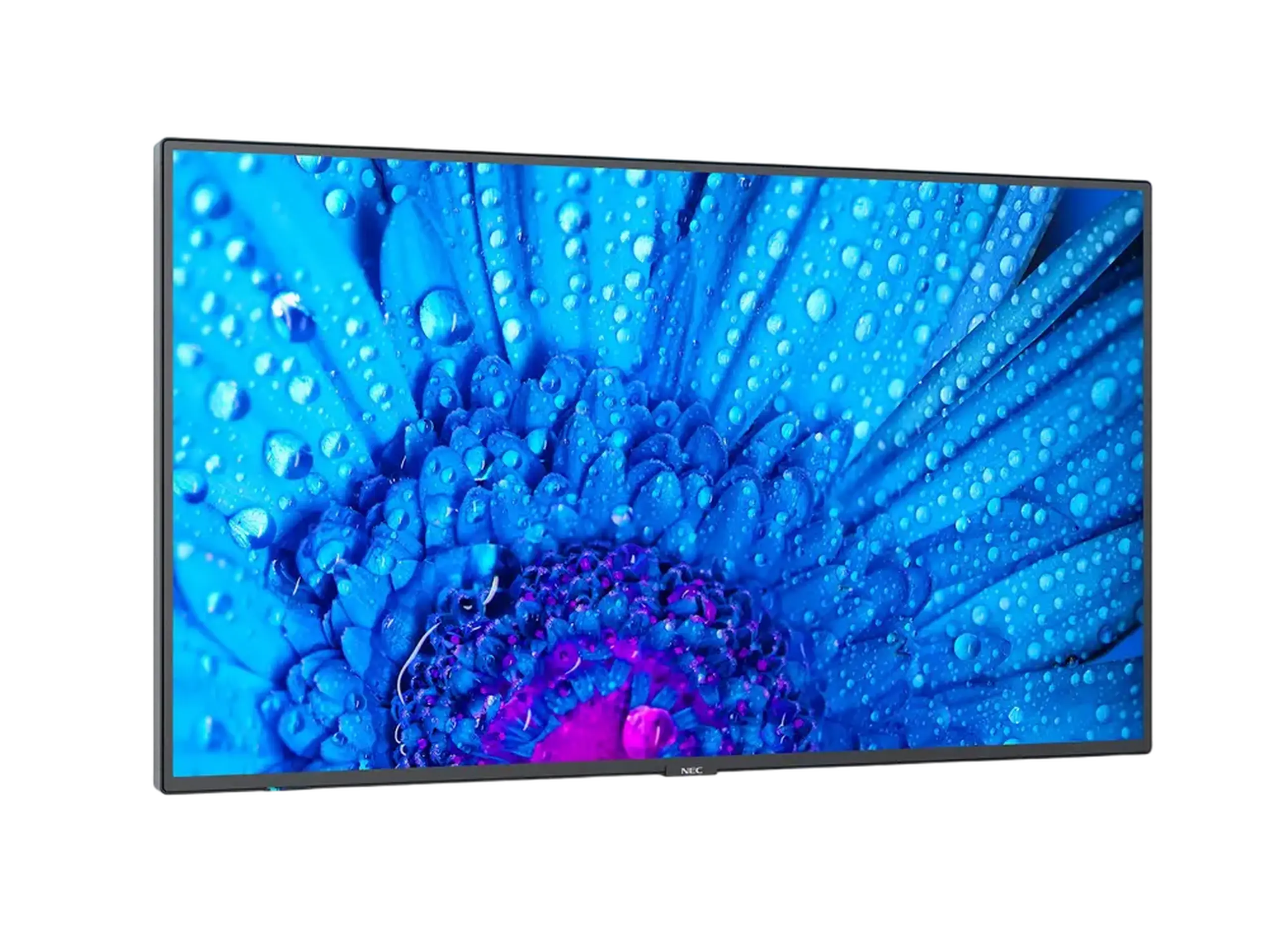 Display NEC MultiSync M651, 65", Negru