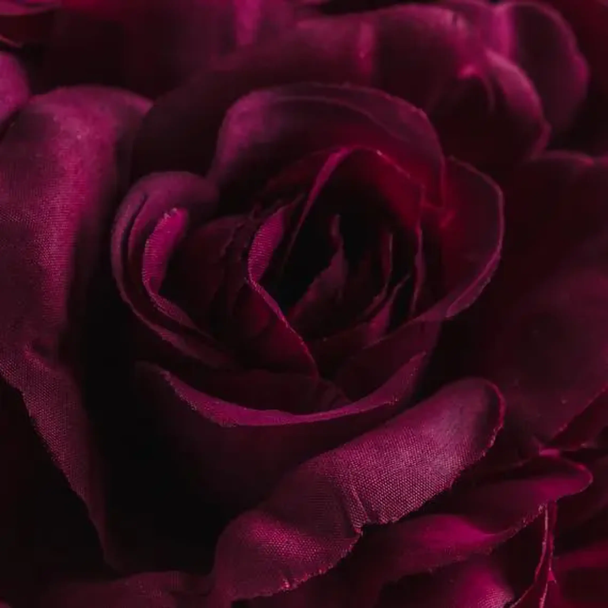 compoziție florală ROSEBOX