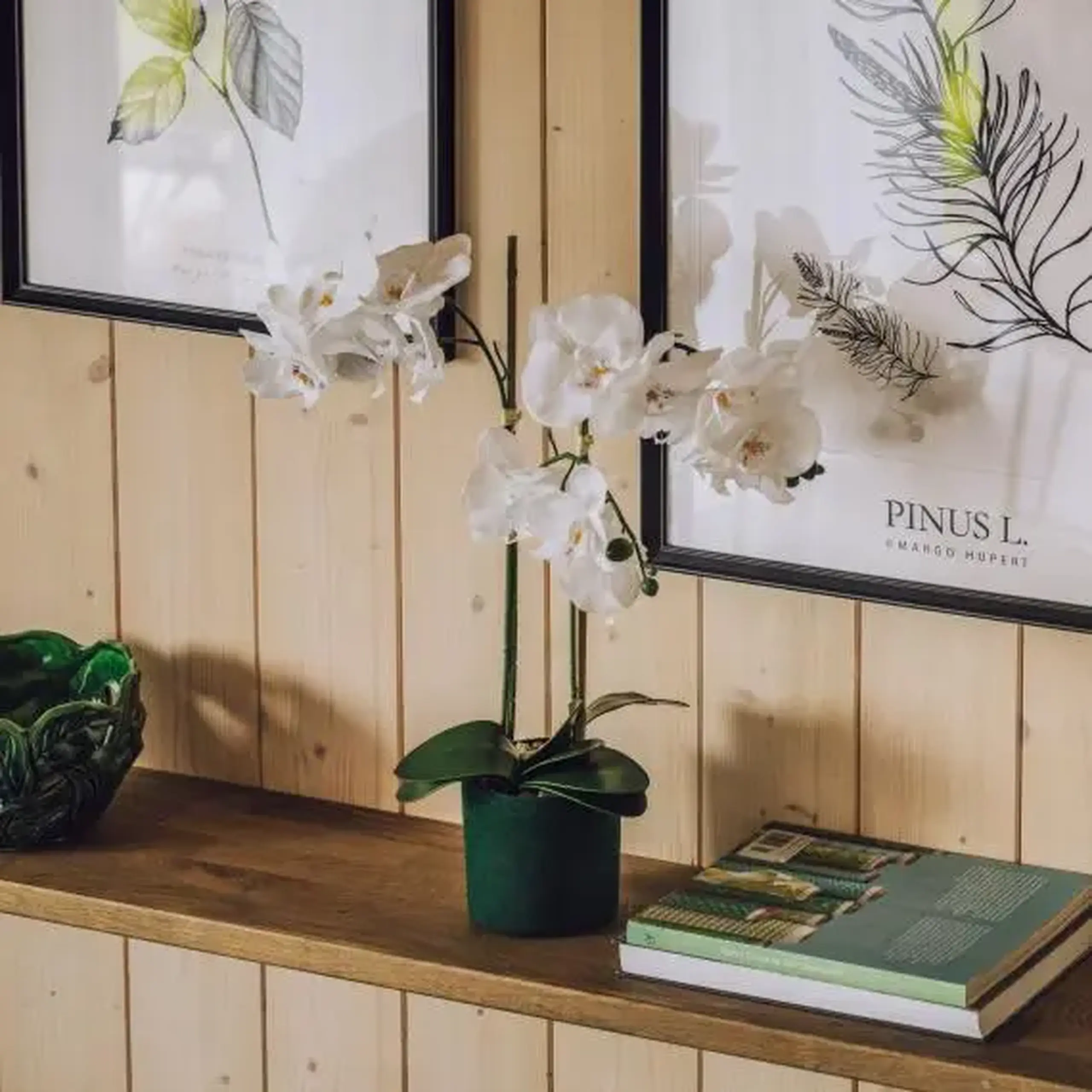 compoziție florală ORCHIVELOSS