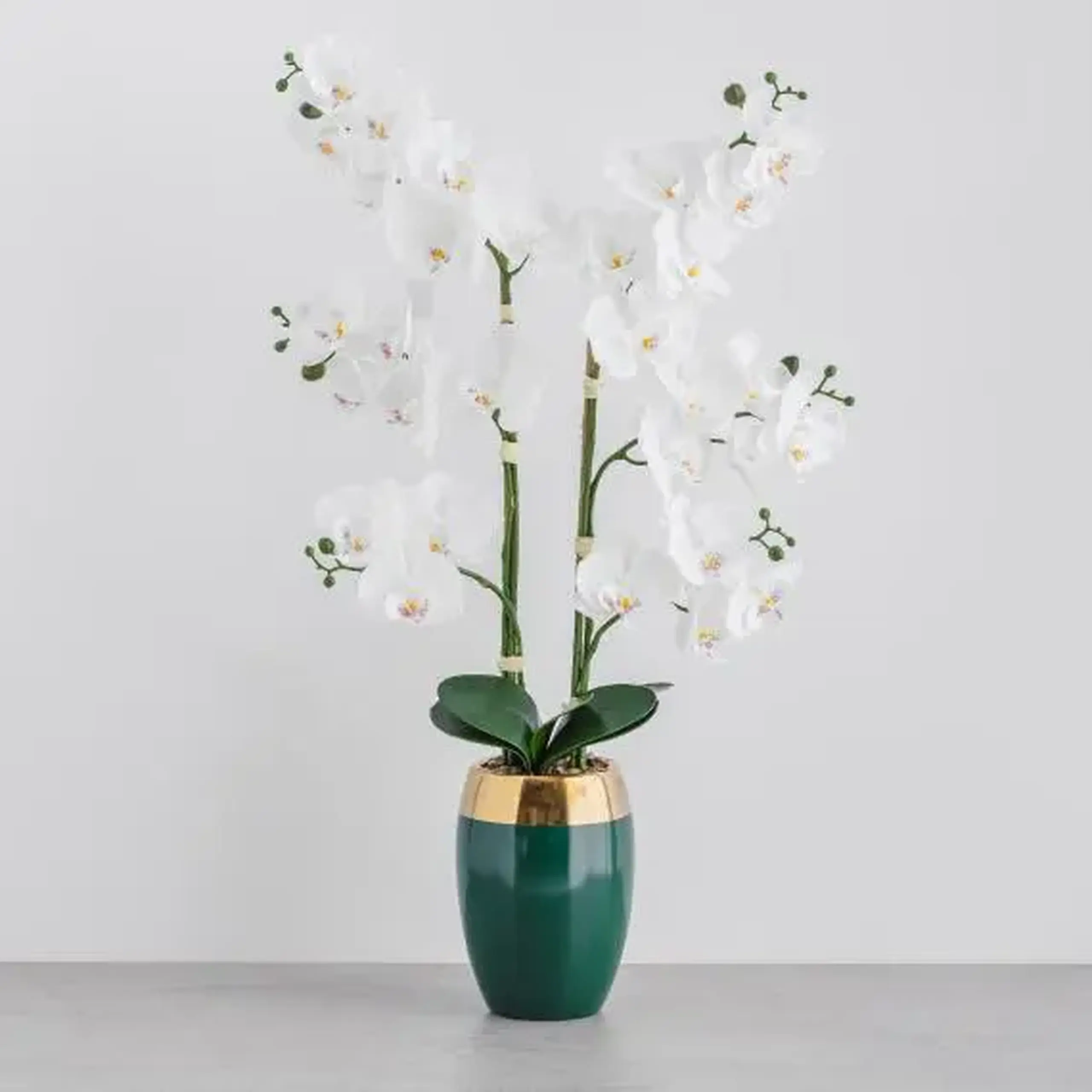 compoziție florală ORCHELLO