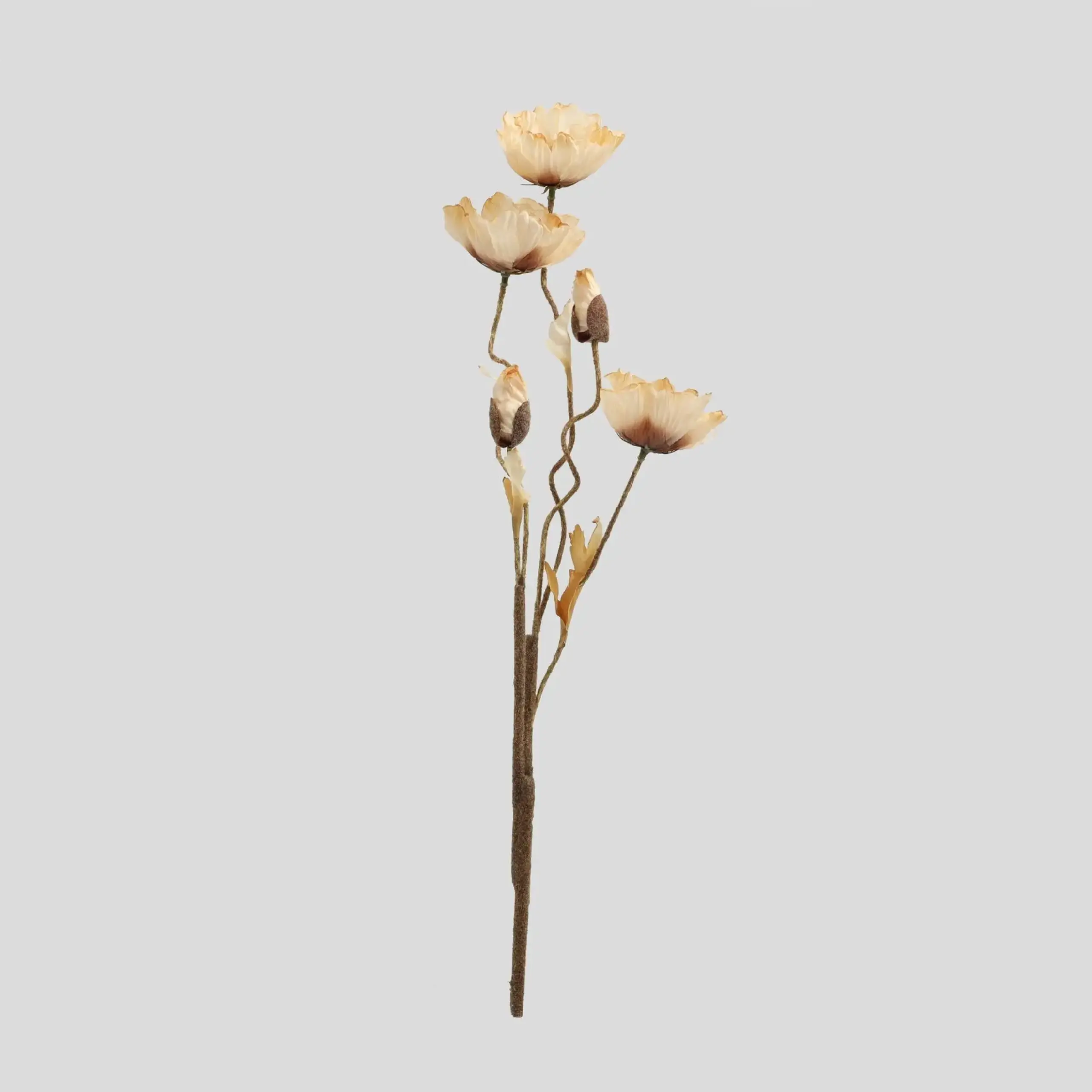 Floare decorativă CEREALO