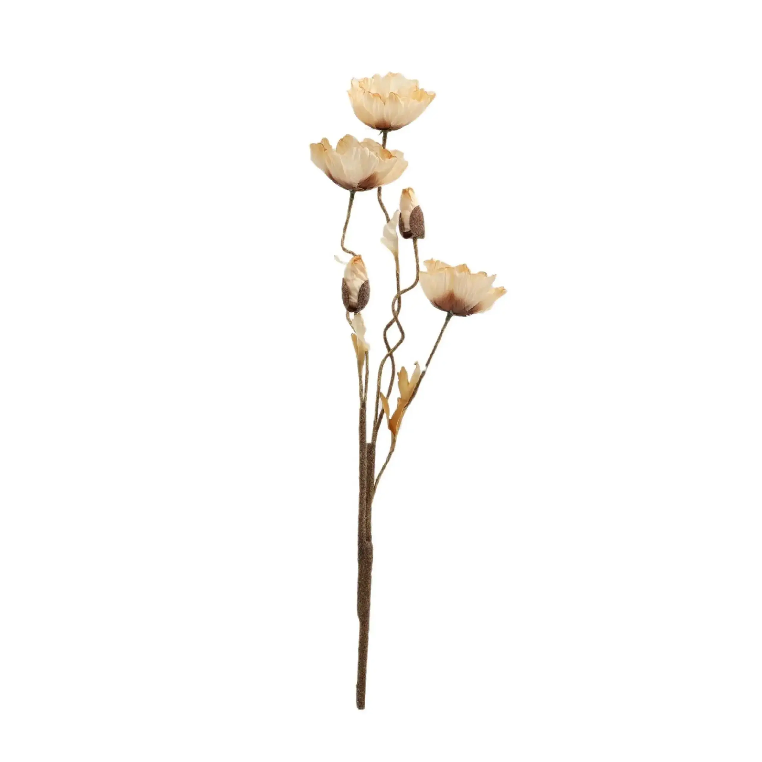Floare decorativă CEREALO