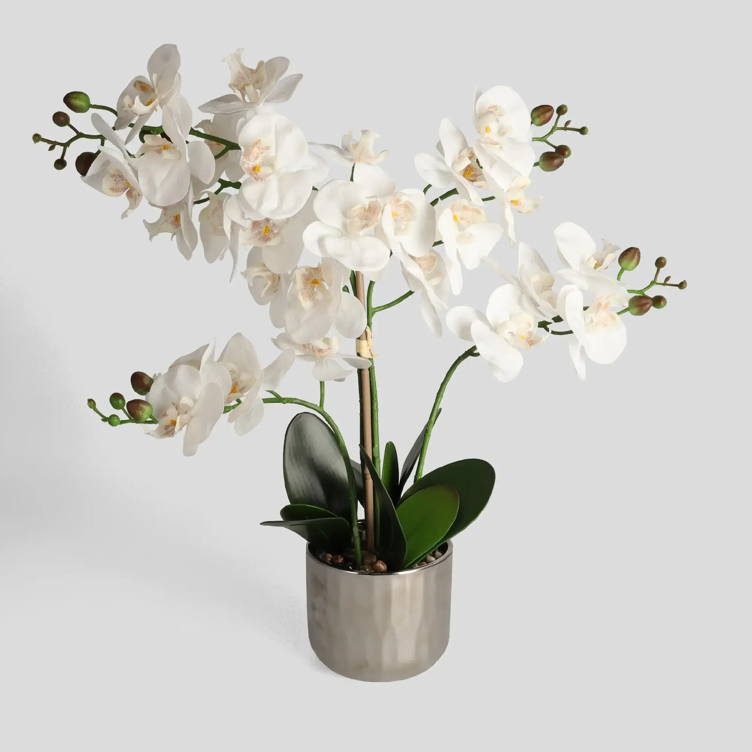 Compoziție florală ORCHIANOS