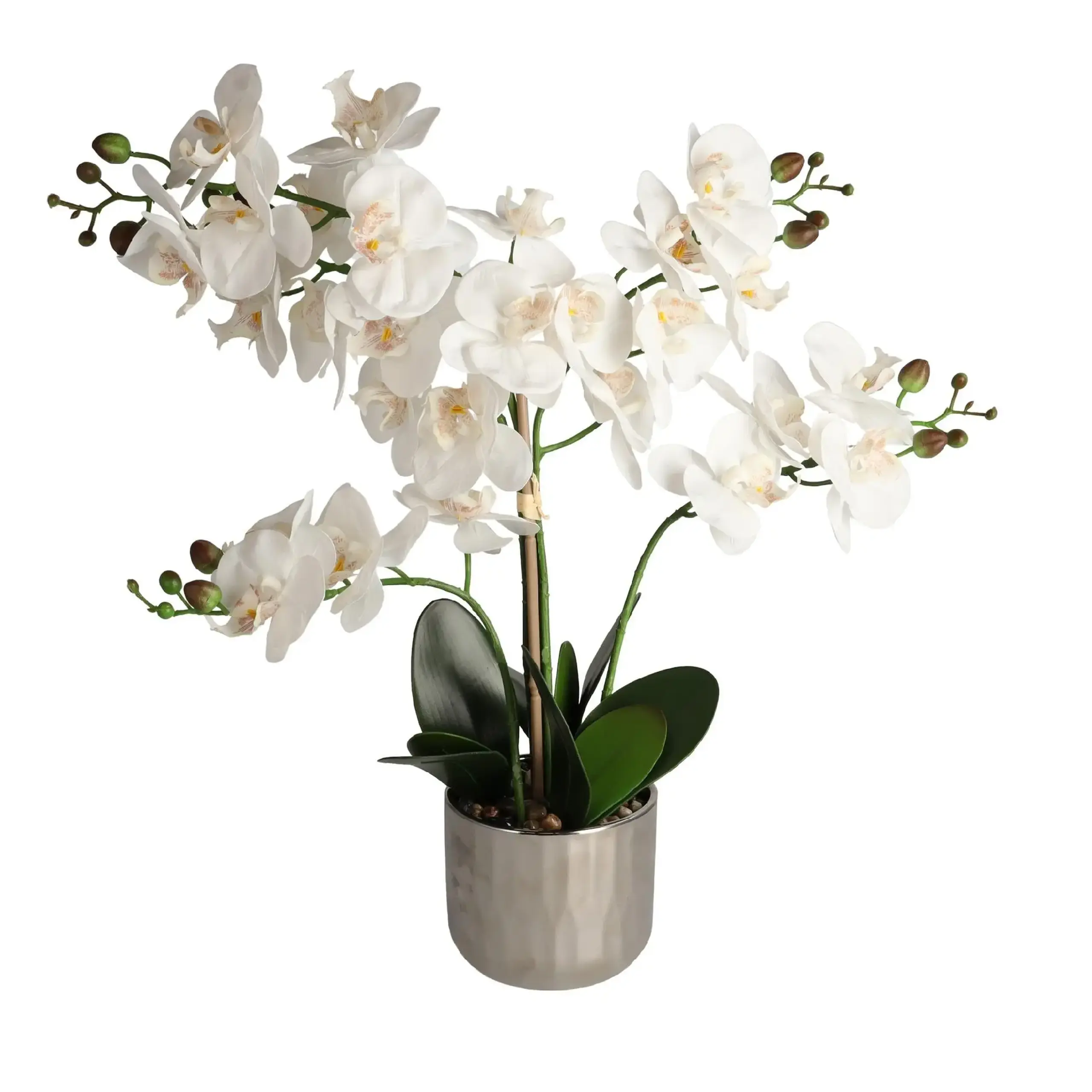 Compoziție florală ORCHIANOS