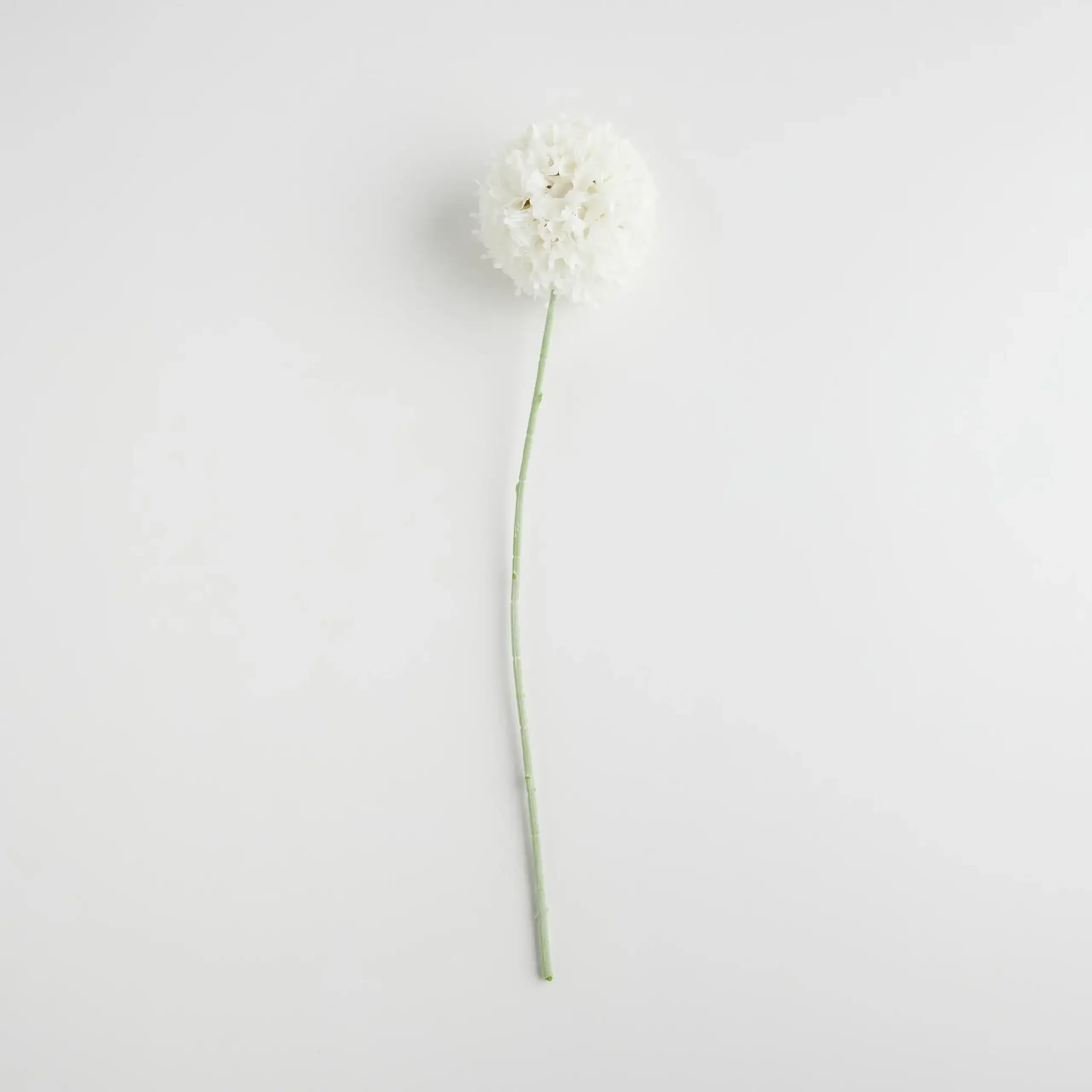 Crenguță decorativă GARLICCI
