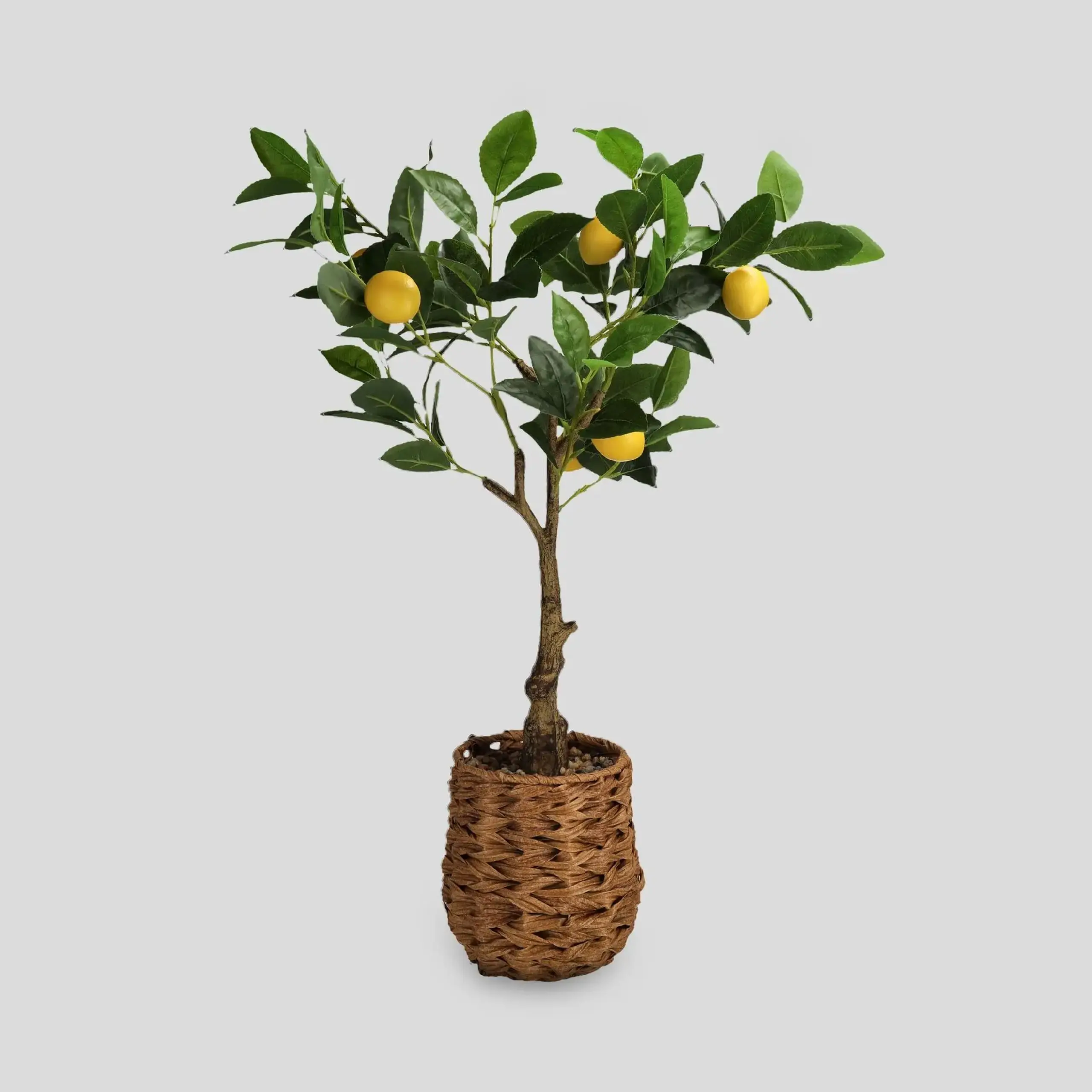 Compoziție florală LEMONO