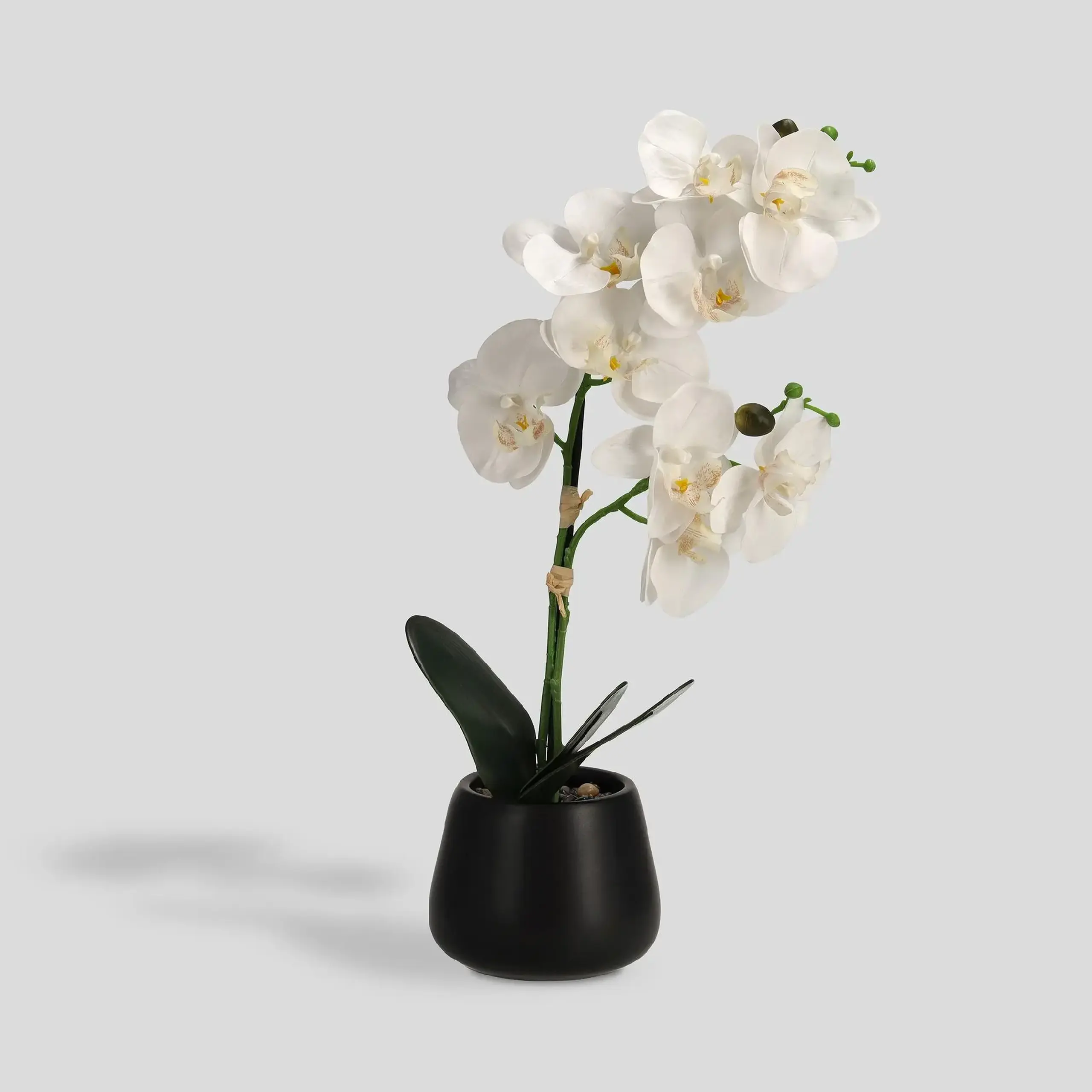 Compoziție florală ORCHISI