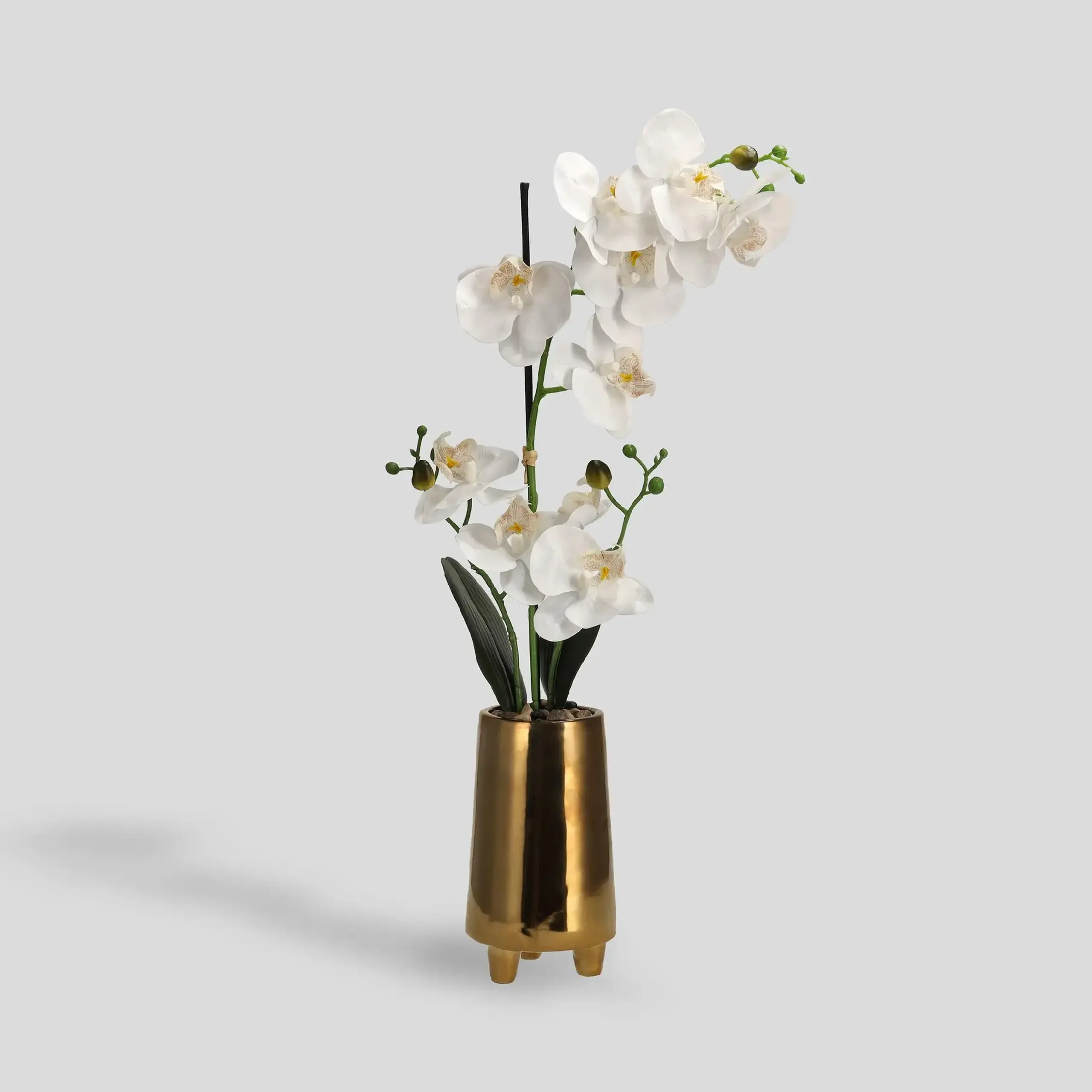 Compoziție florală ORCHESSO