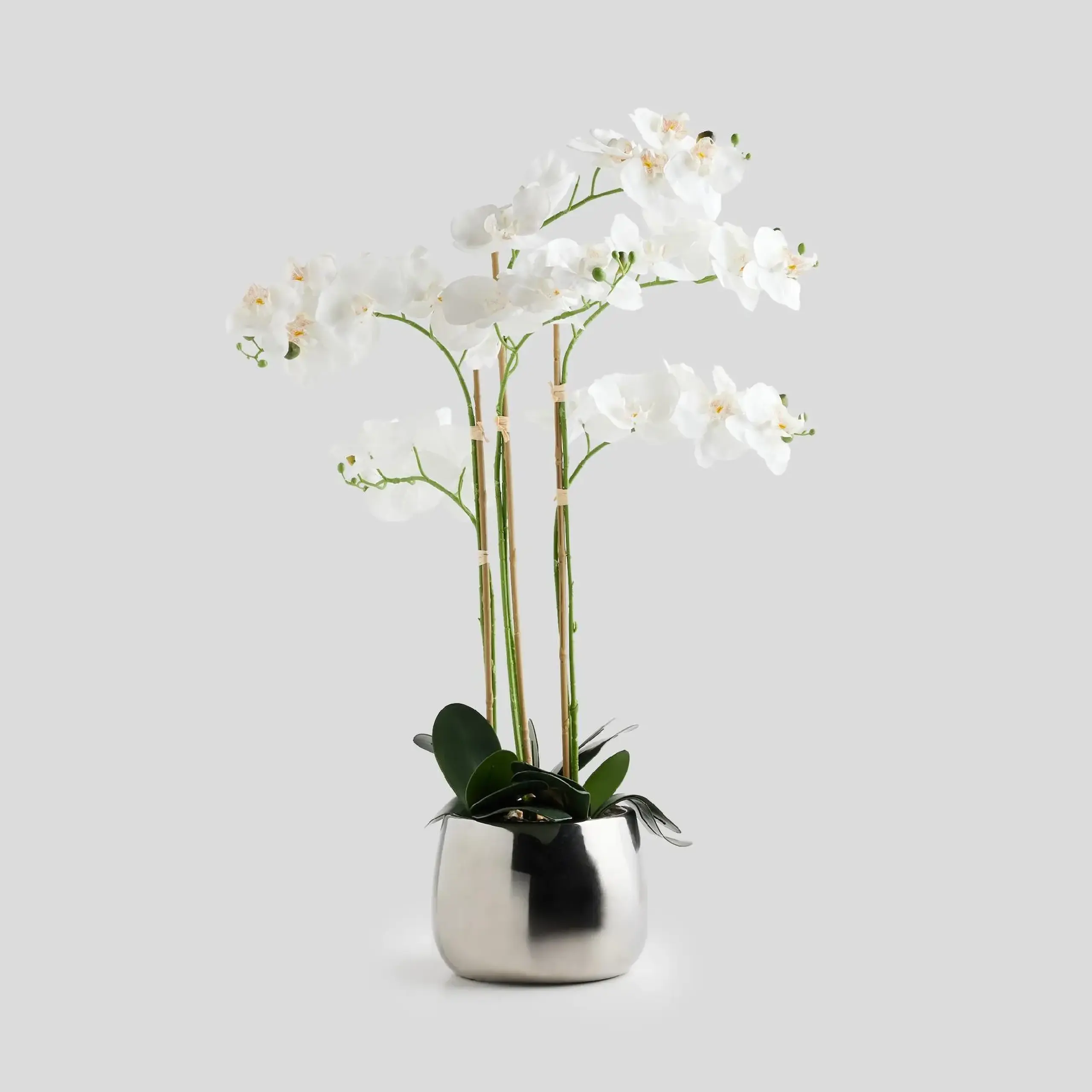 Compoziție florală ORCHIDE