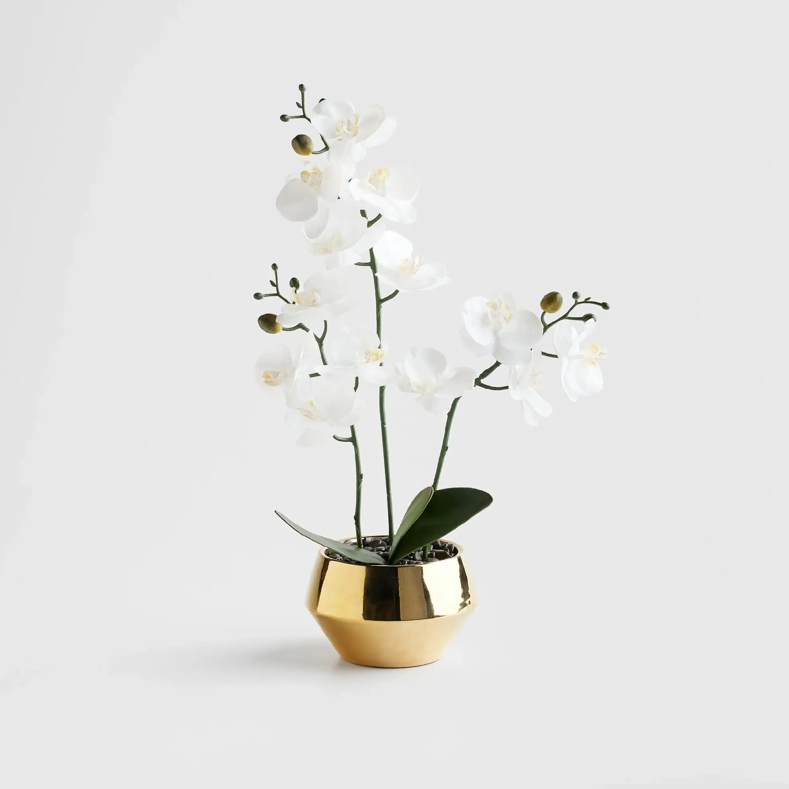 Compoziție florală ORCHITIO