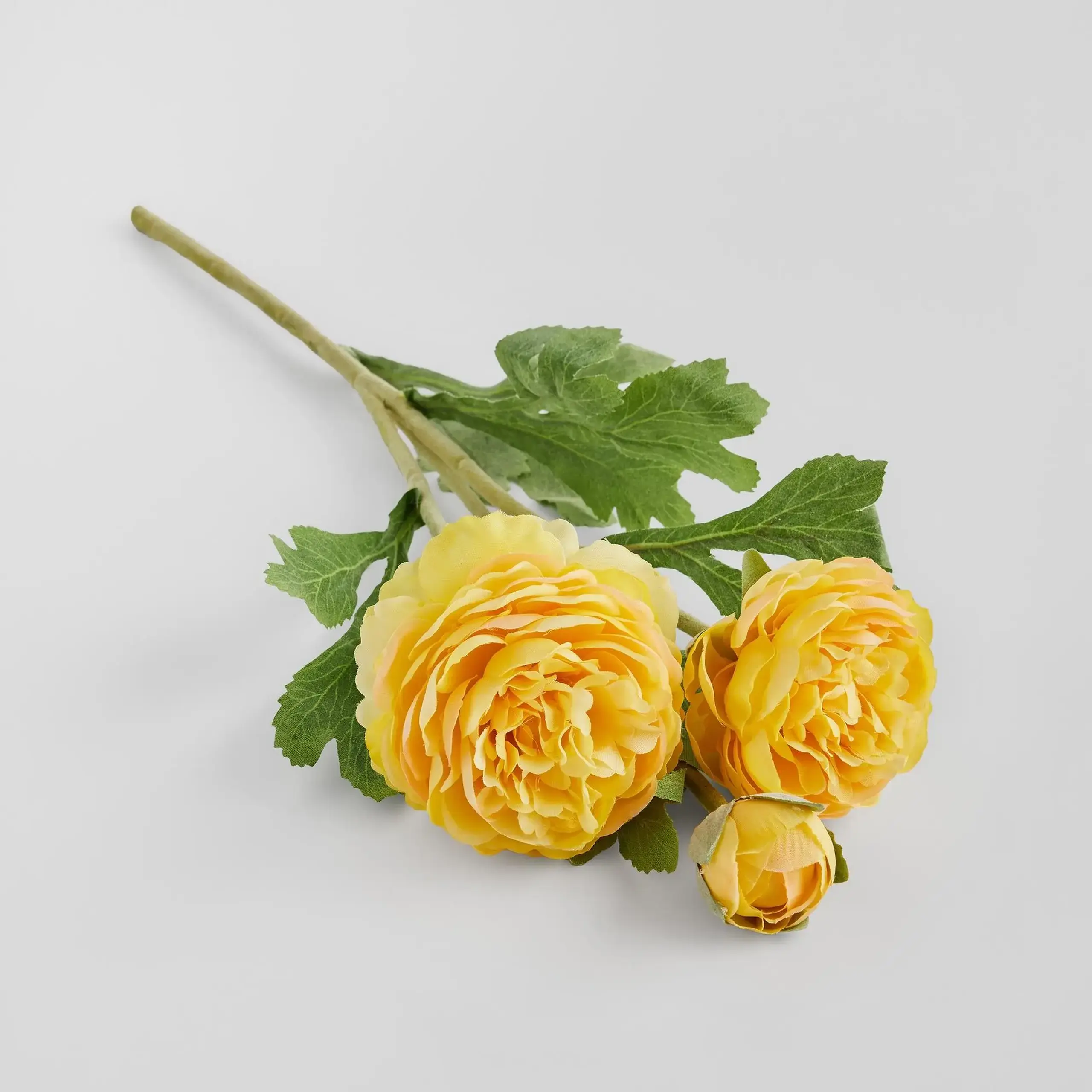 Crenguță decorativă RAMOSO