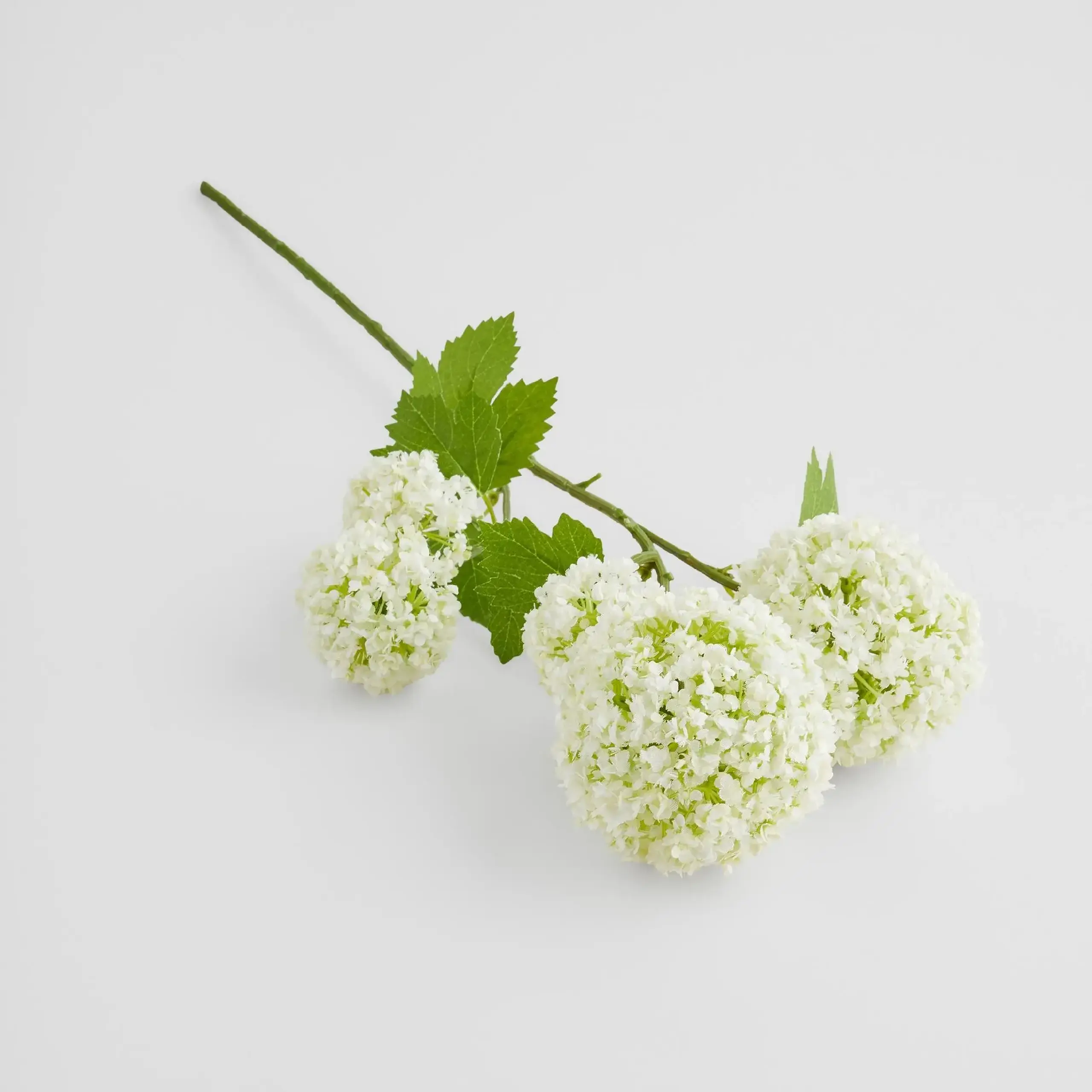Crenguță decorativă SEROSA