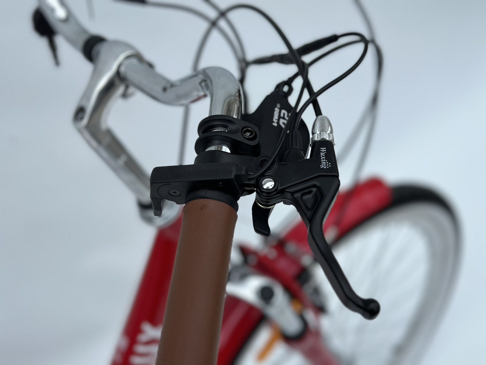 Bicicleta electrica LUX (UA)