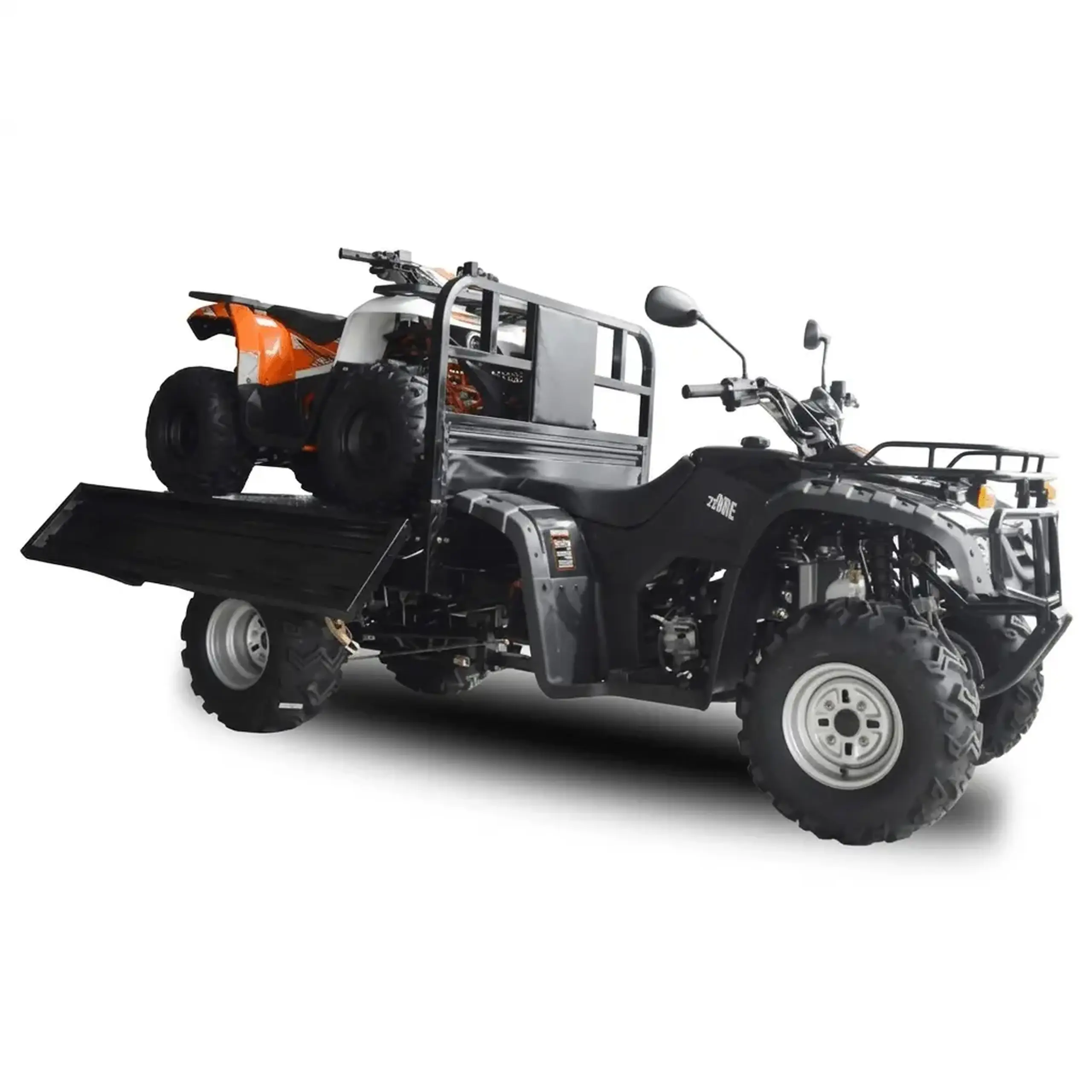 Bashan 300