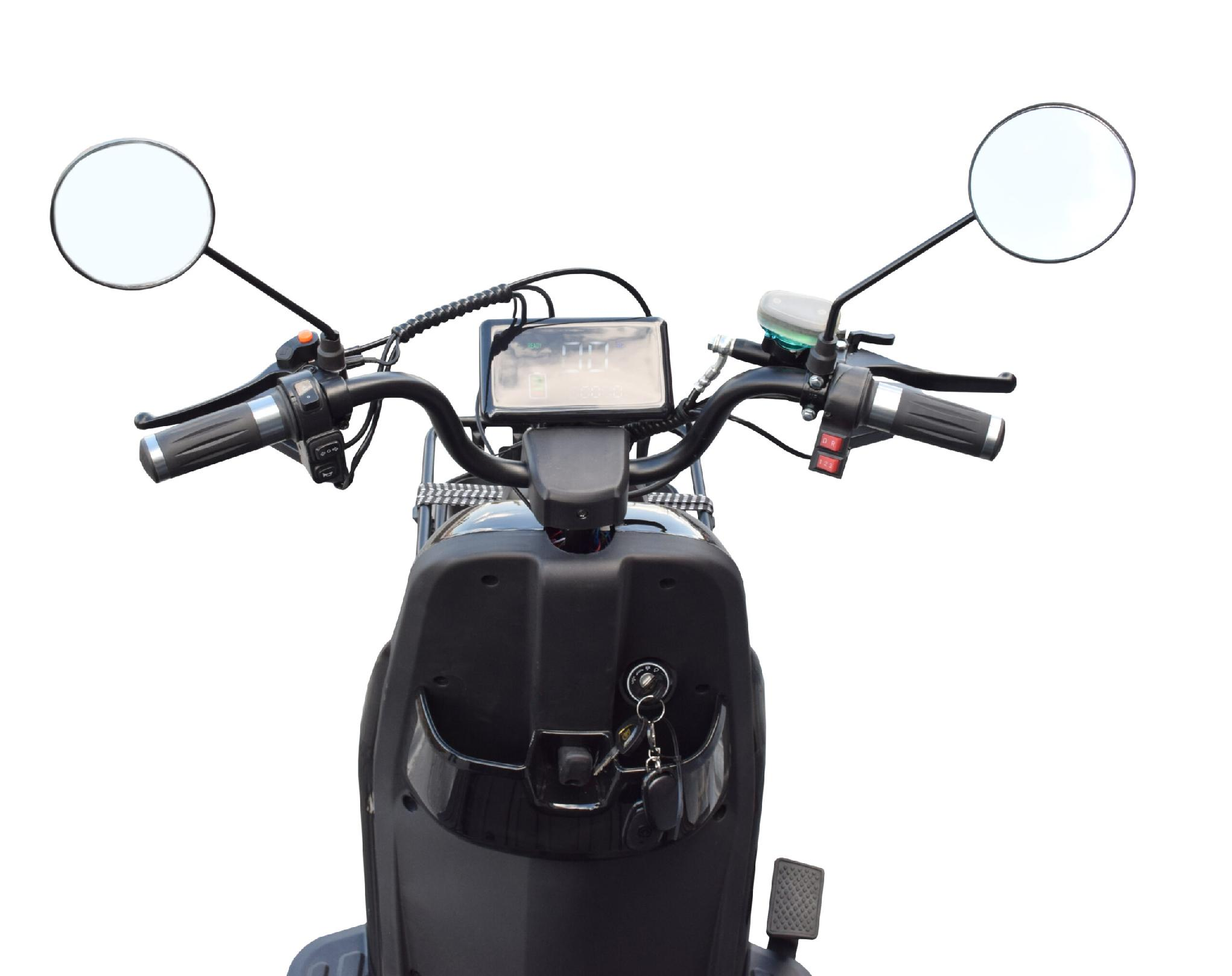 Tricicletă Electrică MINSK ELECTRO 1500W